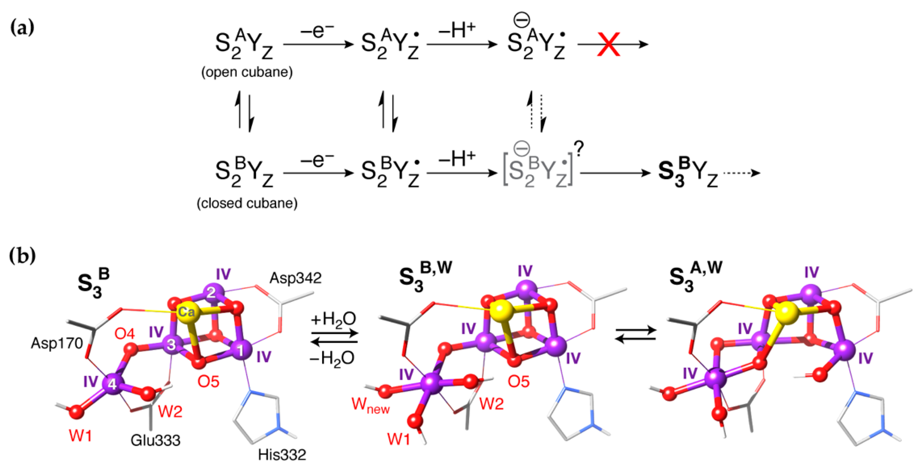 Inorganics 07 00055 g005