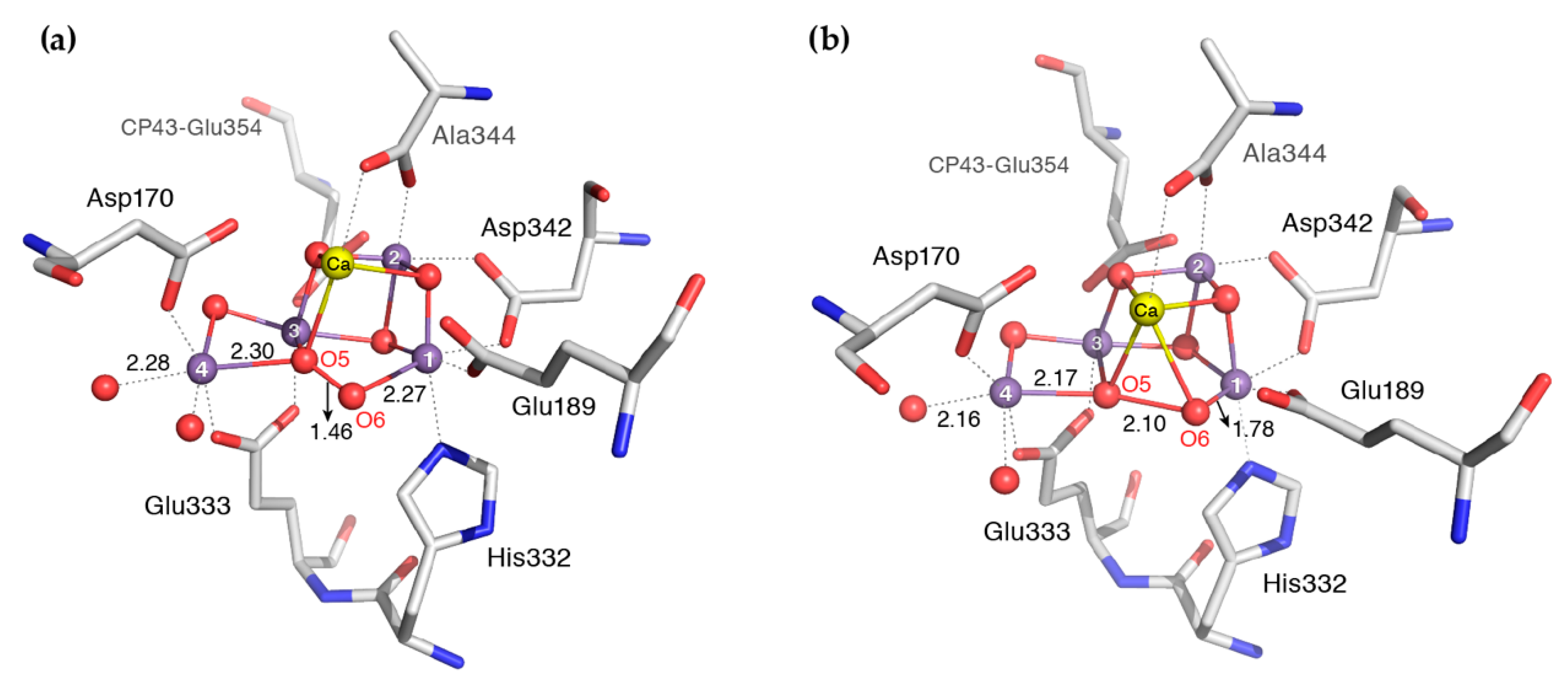 Inorganics 07 00055 g006