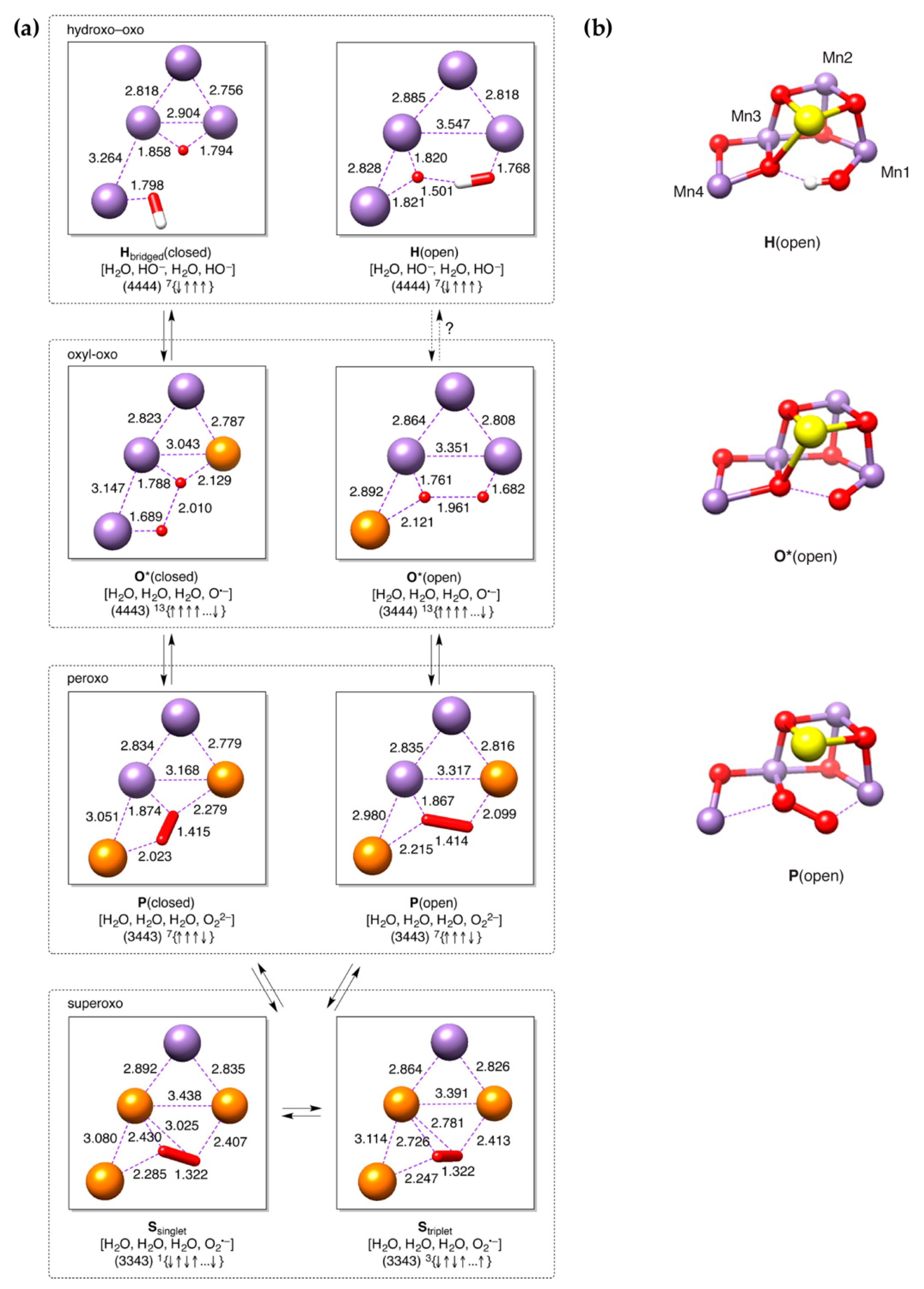 Inorganics 07 00055 g007