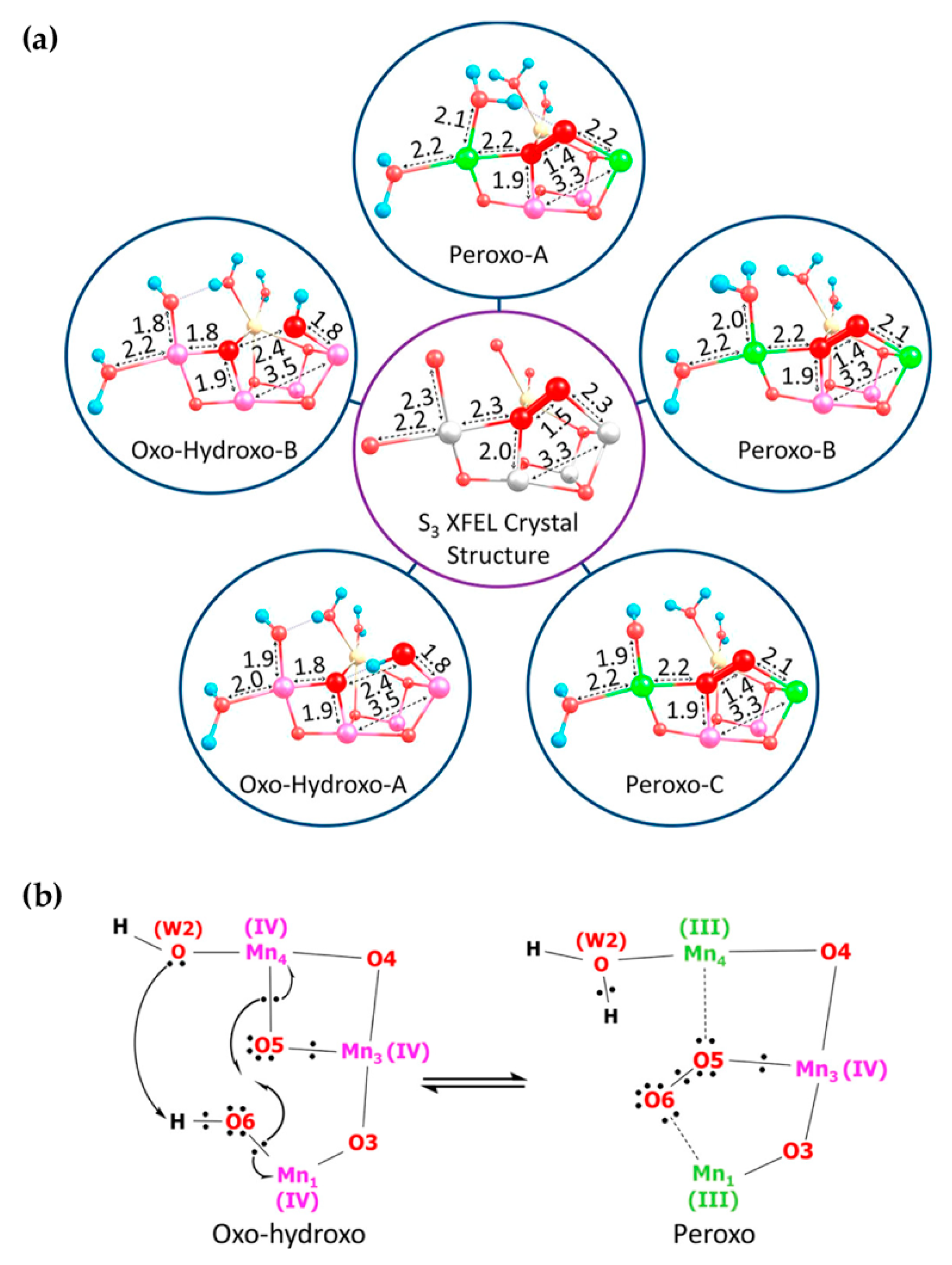 Inorganics 07 00055 g008