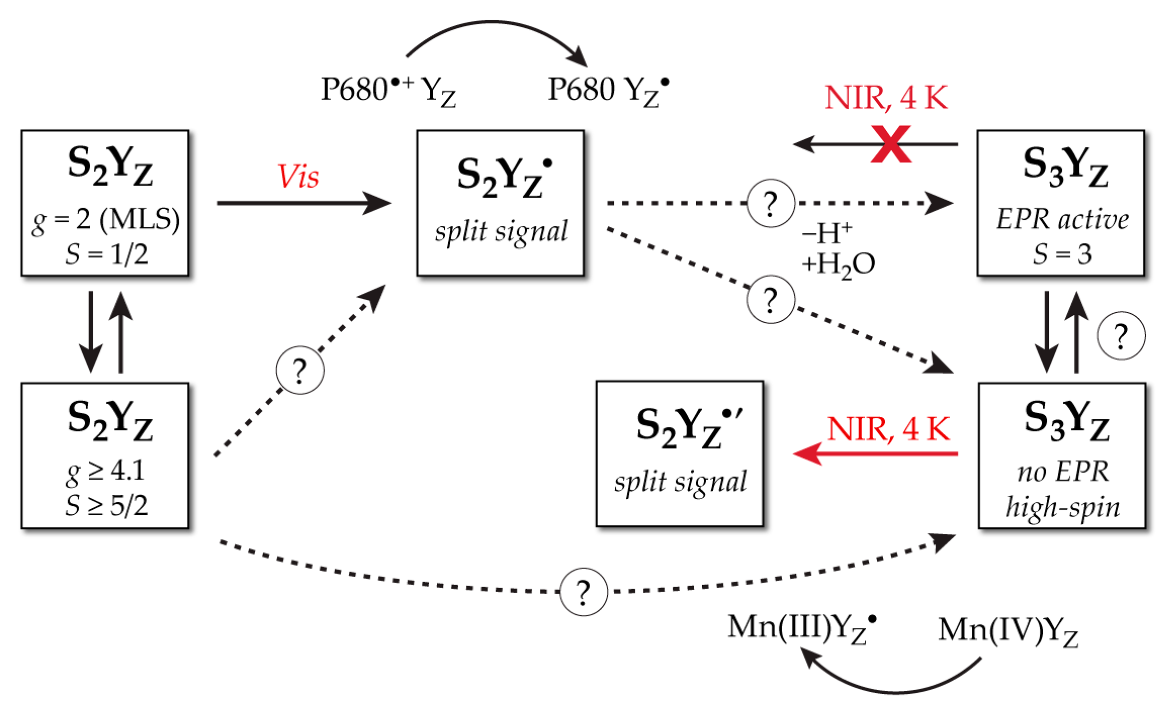 Inorganics 07 00055 sch001