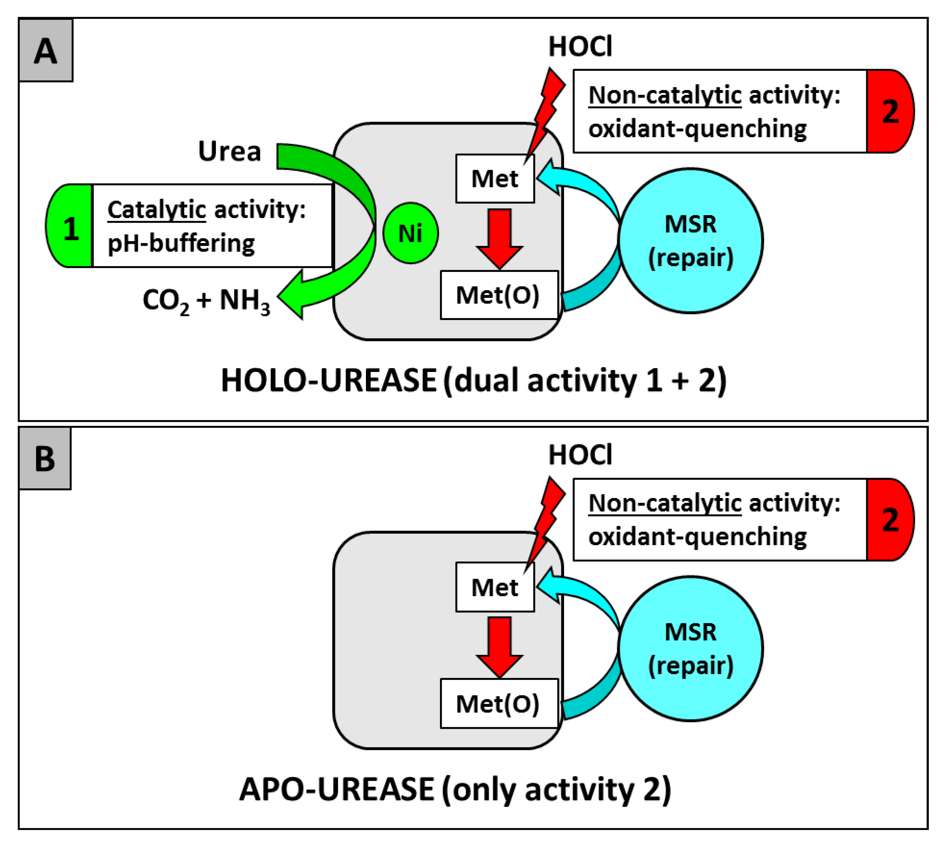 Inorganics 07 00080 g001