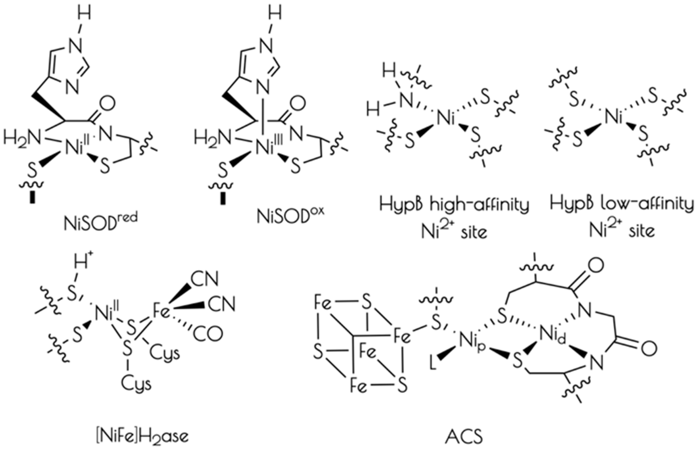 Inorganics 07 00090 ch001 Inorganics 07 00090 ch001