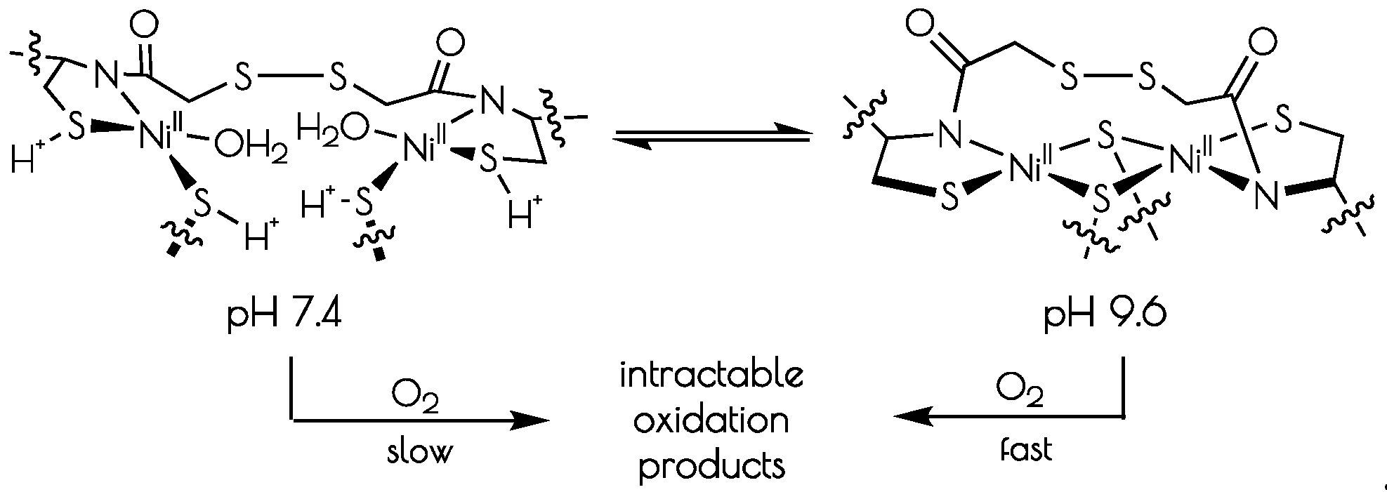 Inorganics 07 00090 sch001 Inorganics 07 00090 sch001
