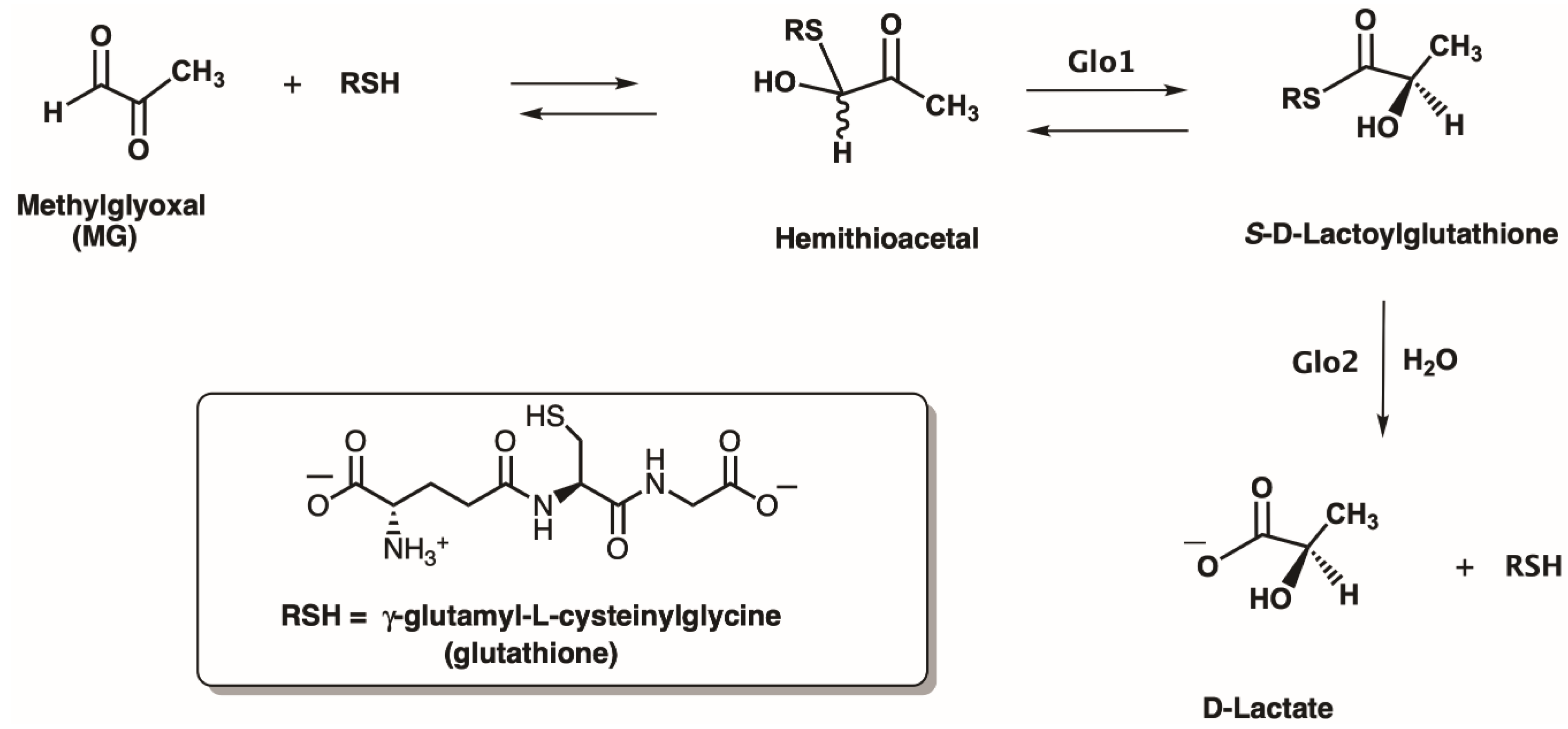 Inorganics 07 00099 g001