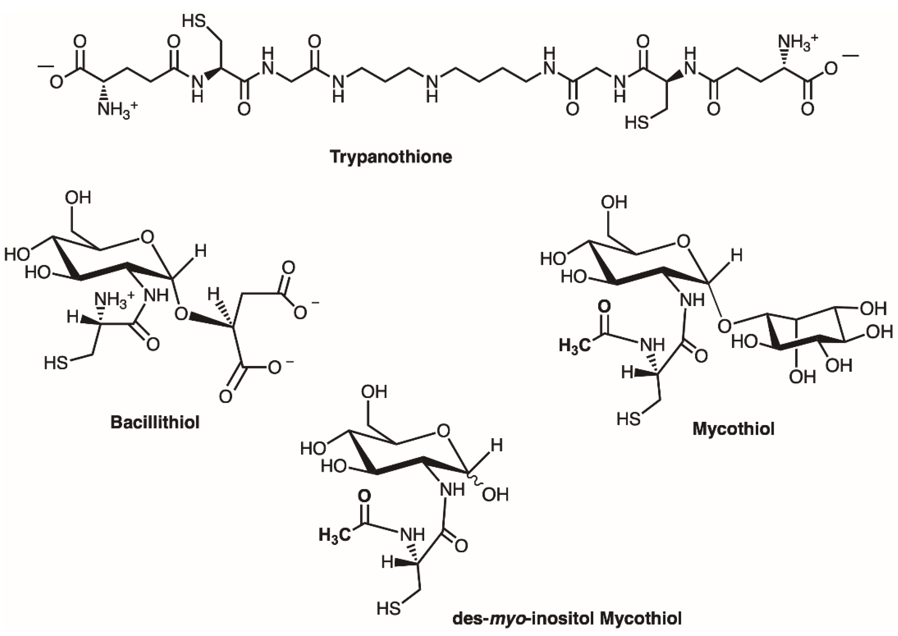 Inorganics 07 00099 g003