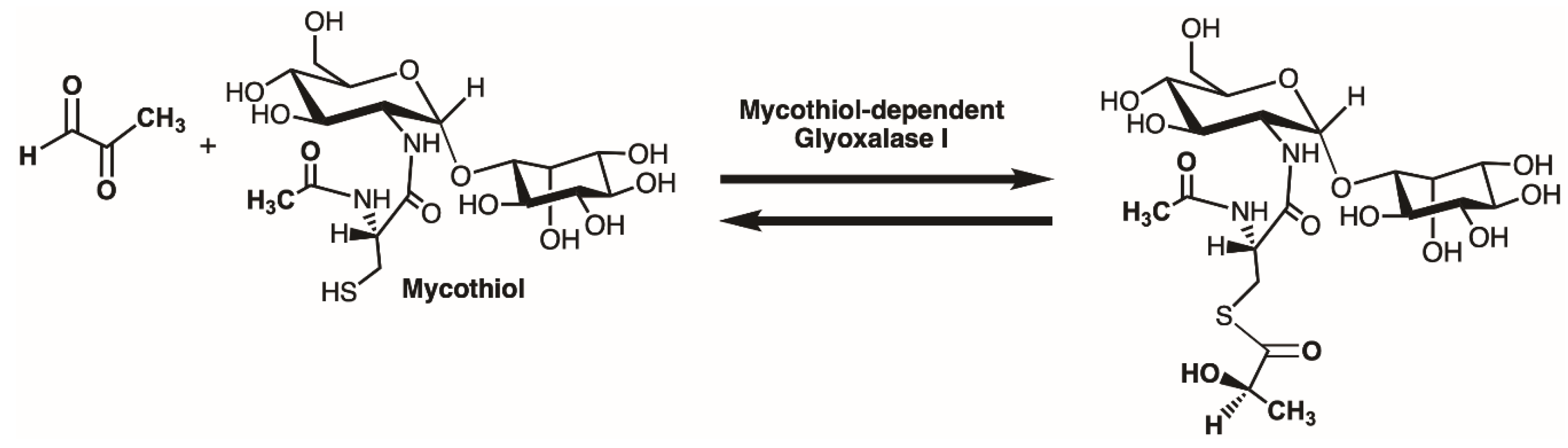 Inorganics 07 00099 g004