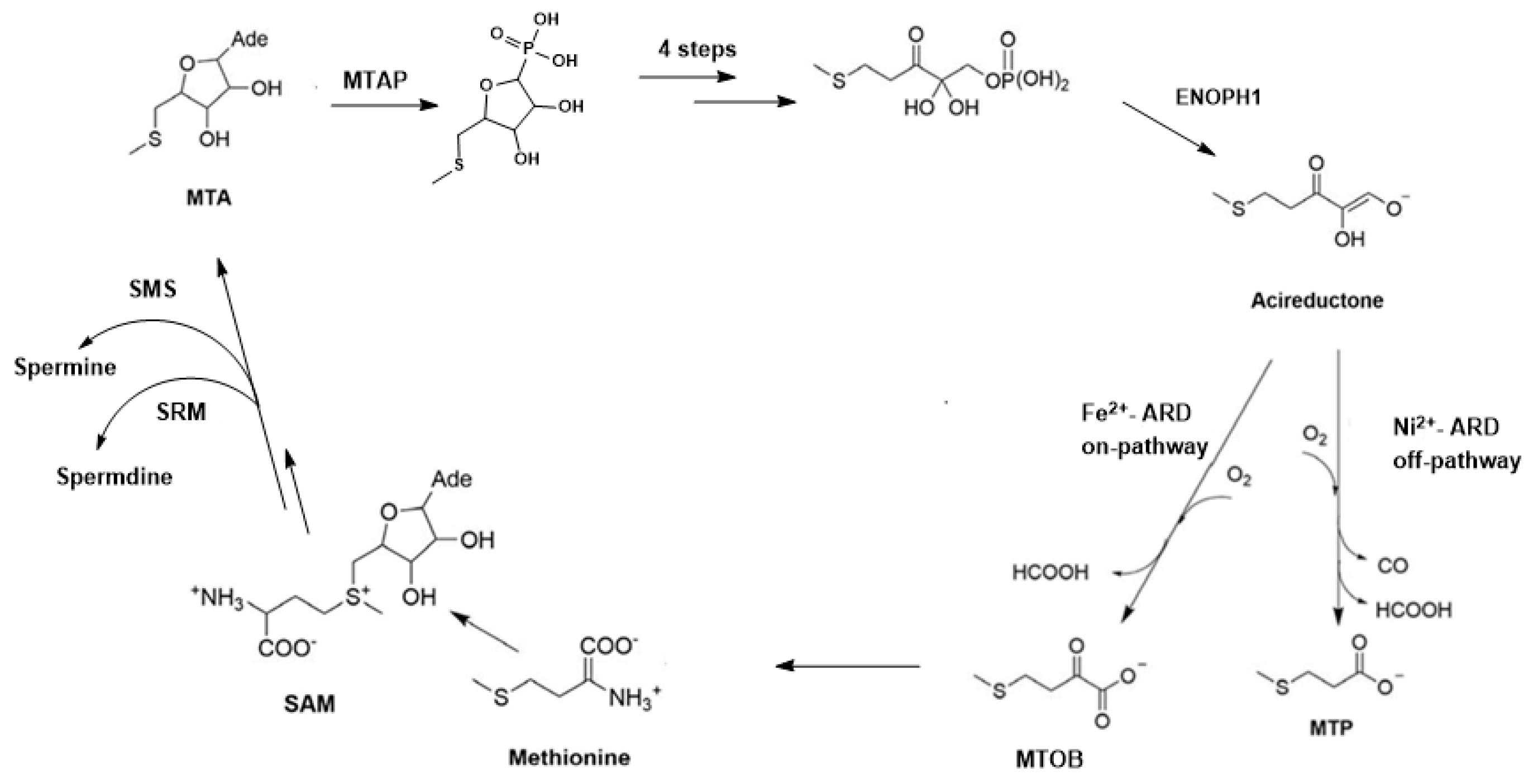 Inorganics 07 00101 g002