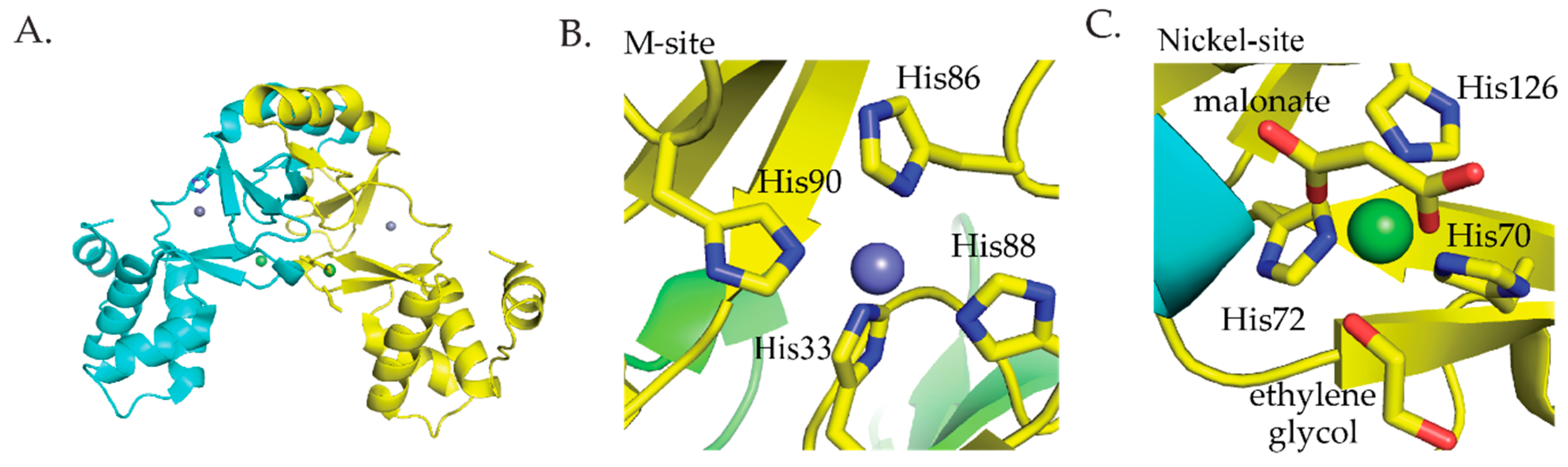 Inorganics 07 00104 g004
