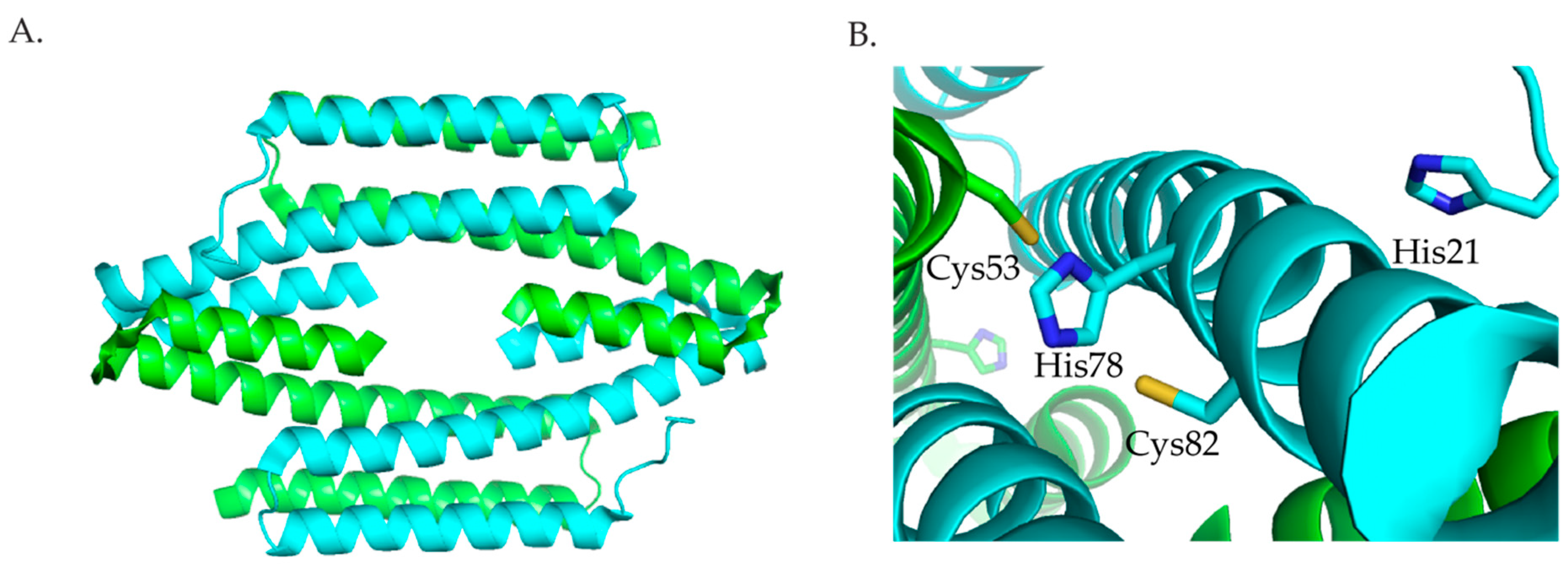 Inorganics 07 00104 g005