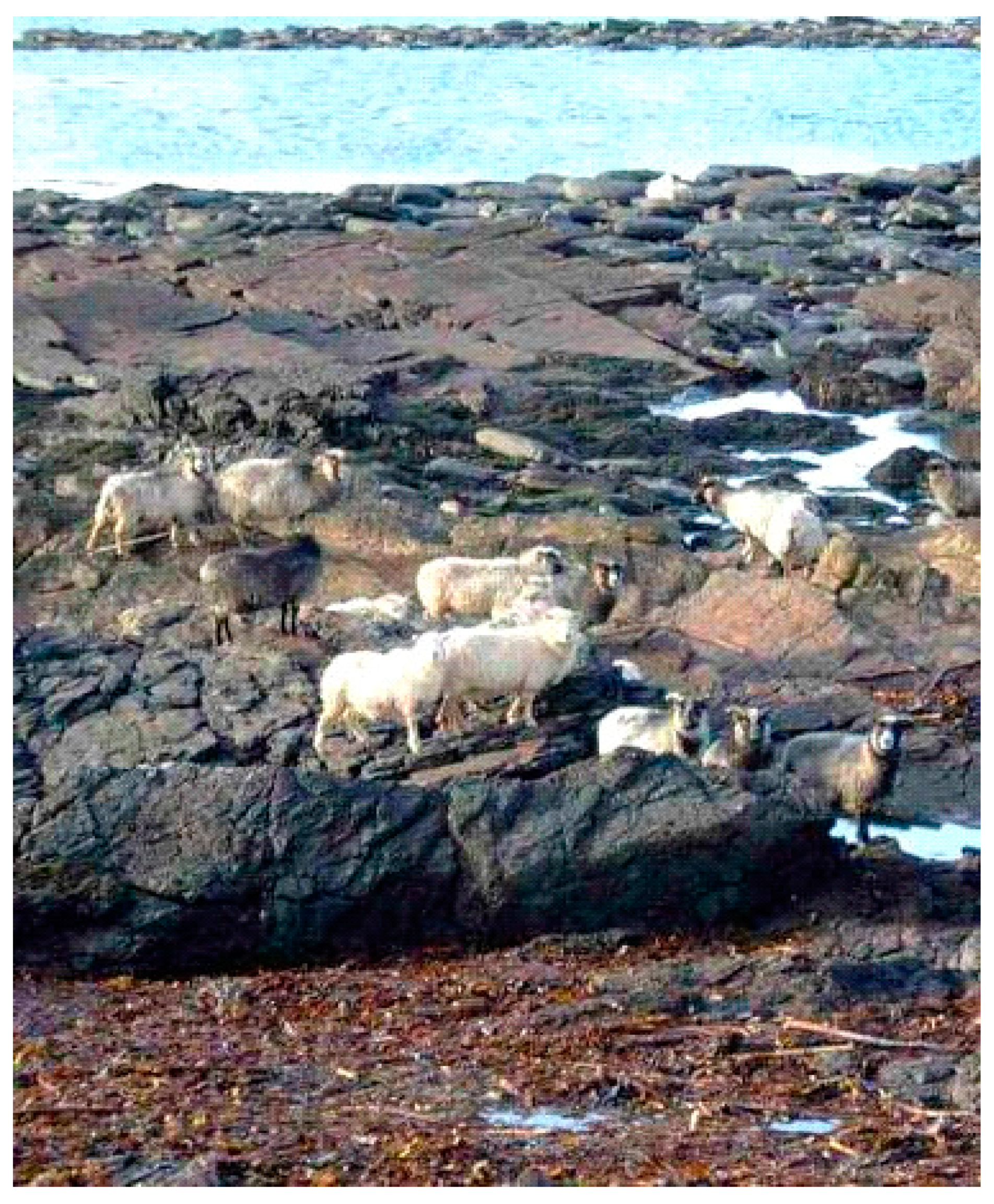 Inorganics 07 00108 g002