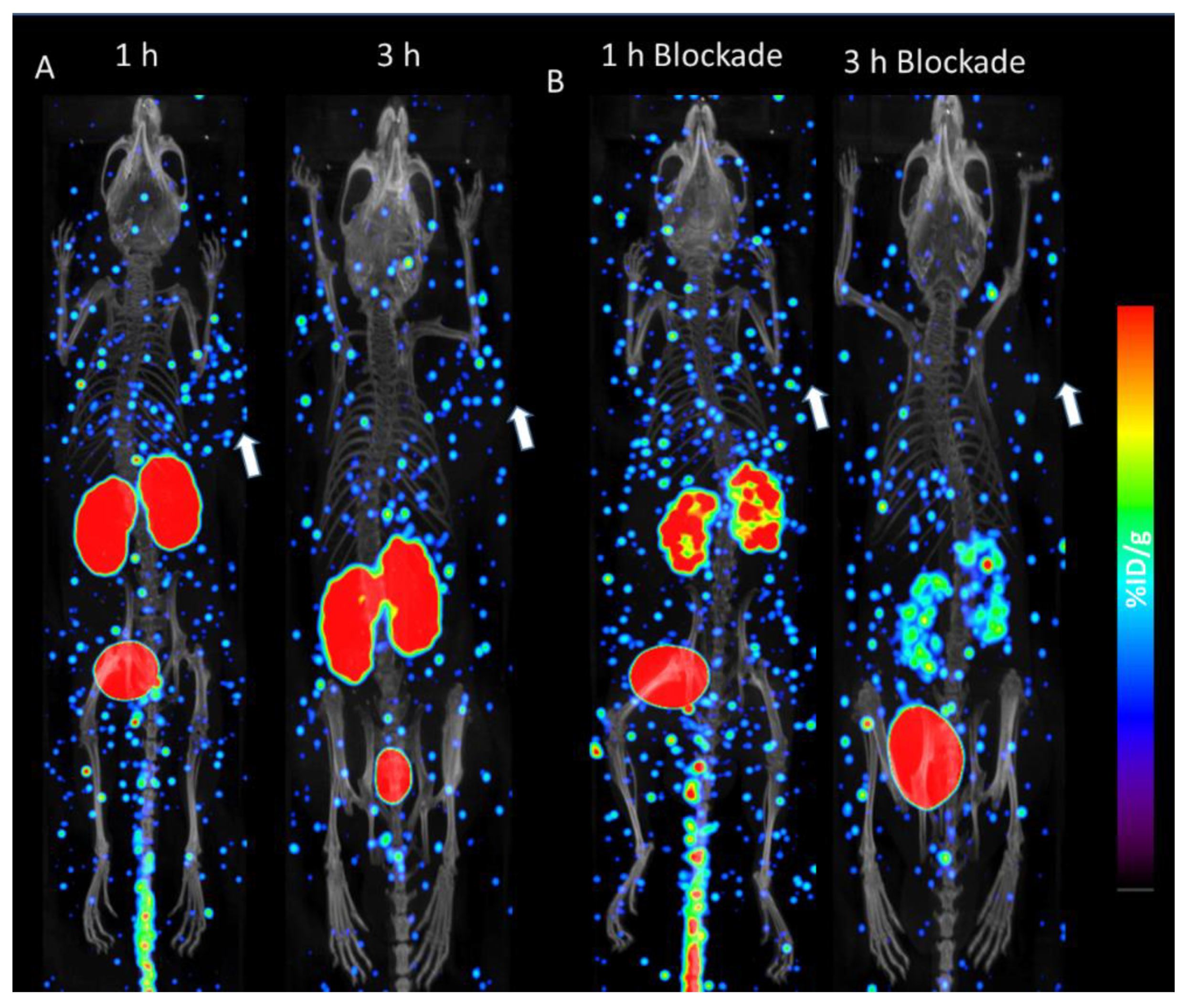 Inorganics 08 00005 g003 Inorganics 08 00005 g003