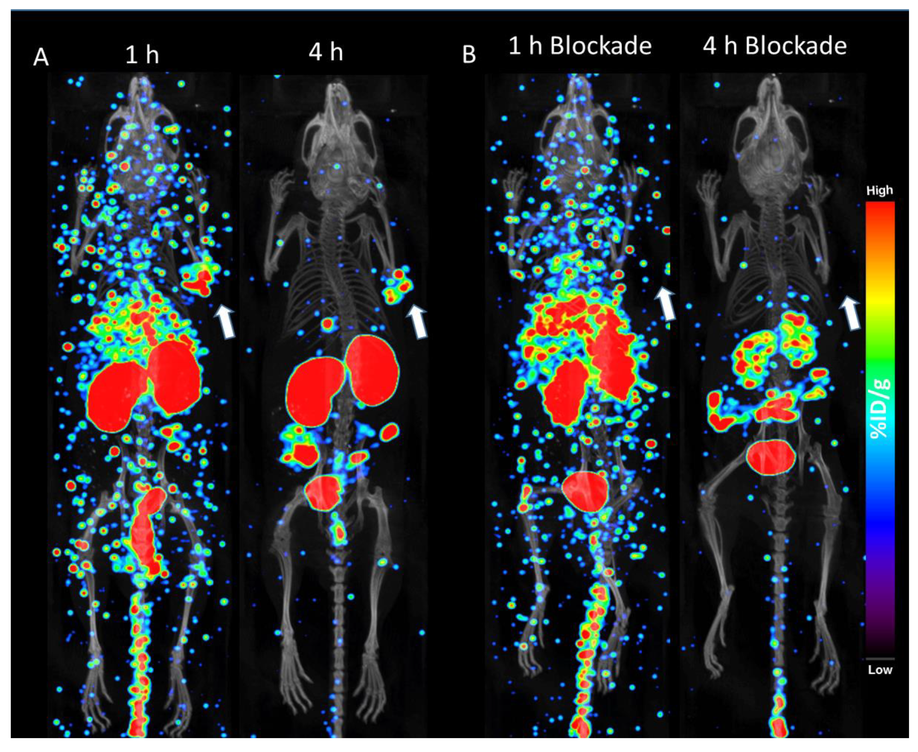 Inorganics 08 00005 g004 Inorganics 08 00005 g004
