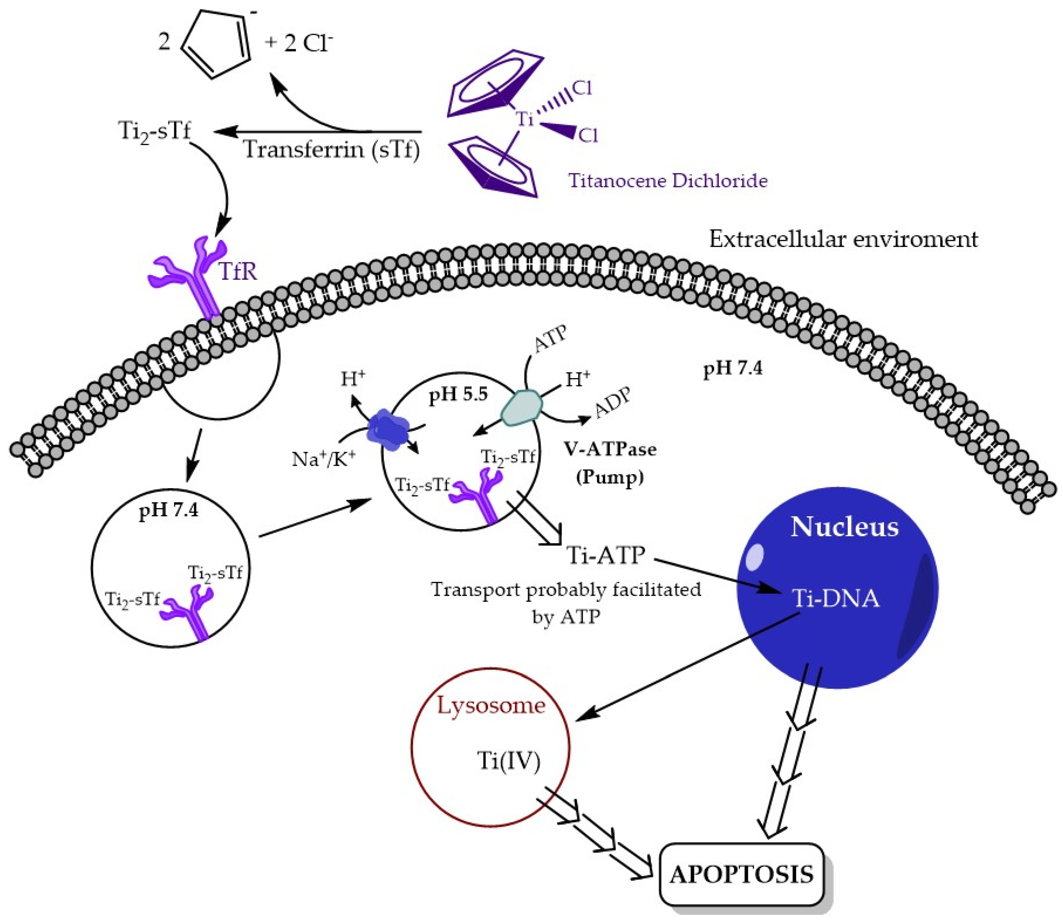 Inorganics 08 00010 g005