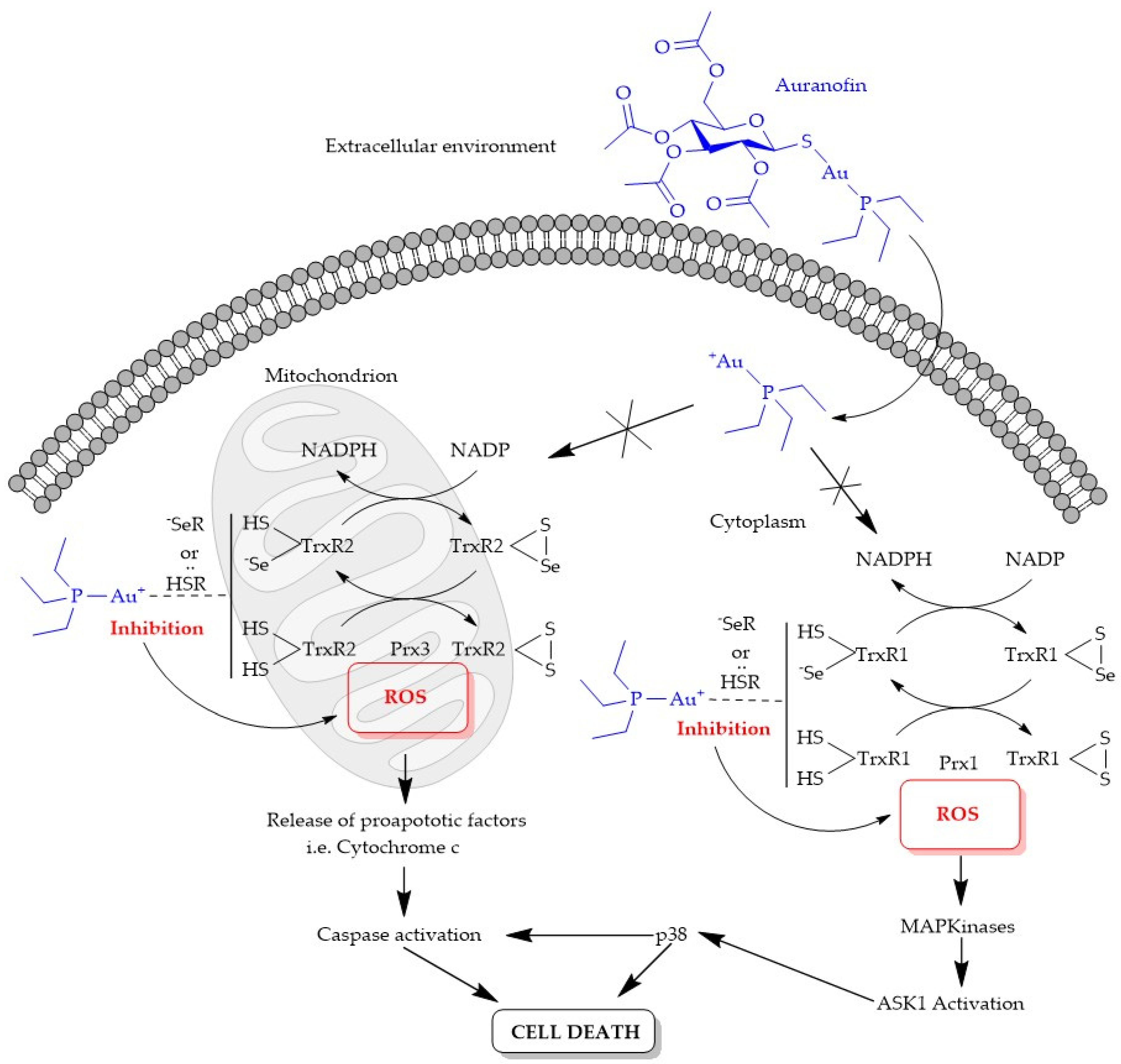 Inorganics 08 00010 g010