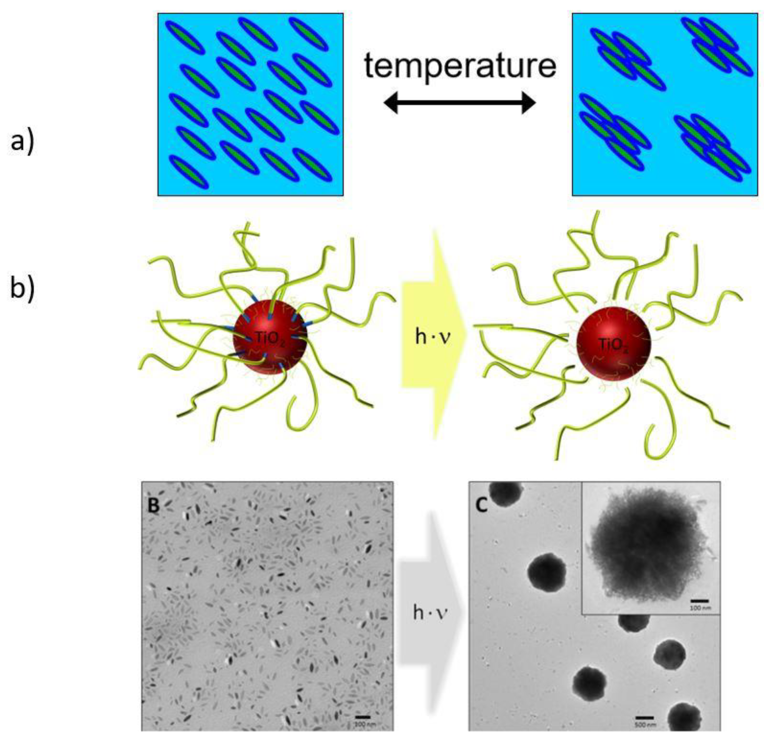 Inorganics 08 00020 g005