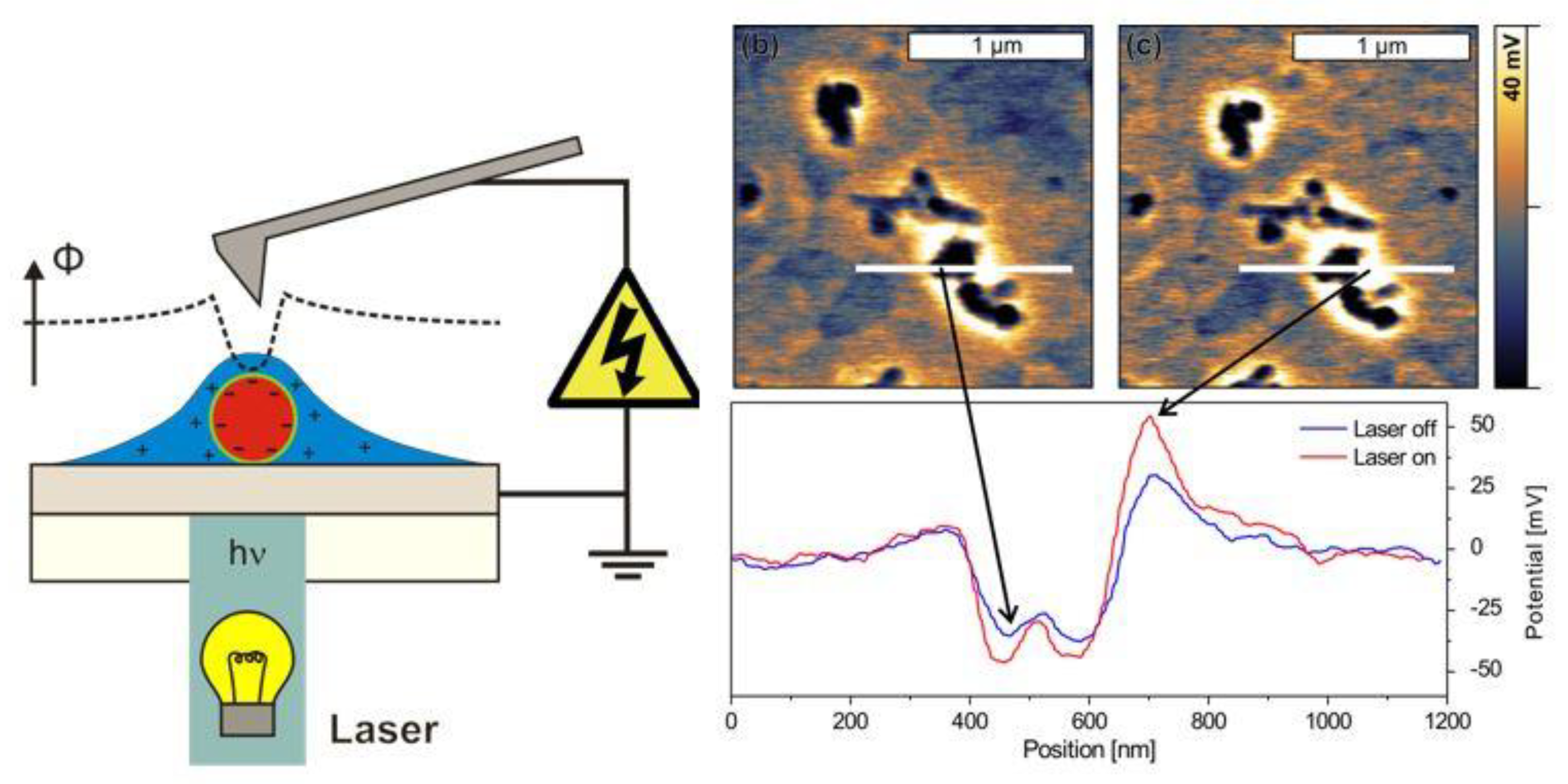 Inorganics 08 00020 g008
