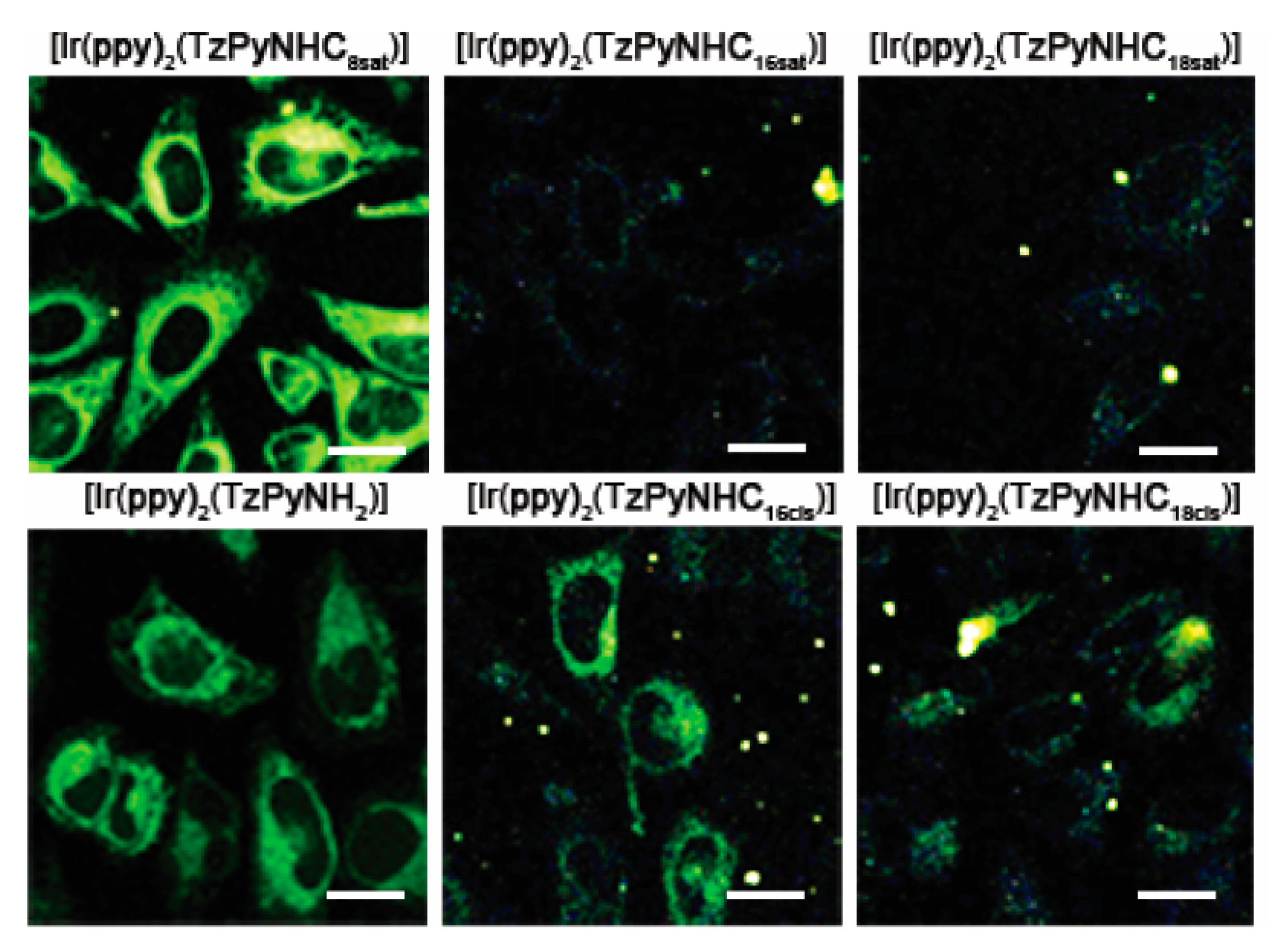 Inorganics 08 00023 g005 Inorganics 08 00023 g005