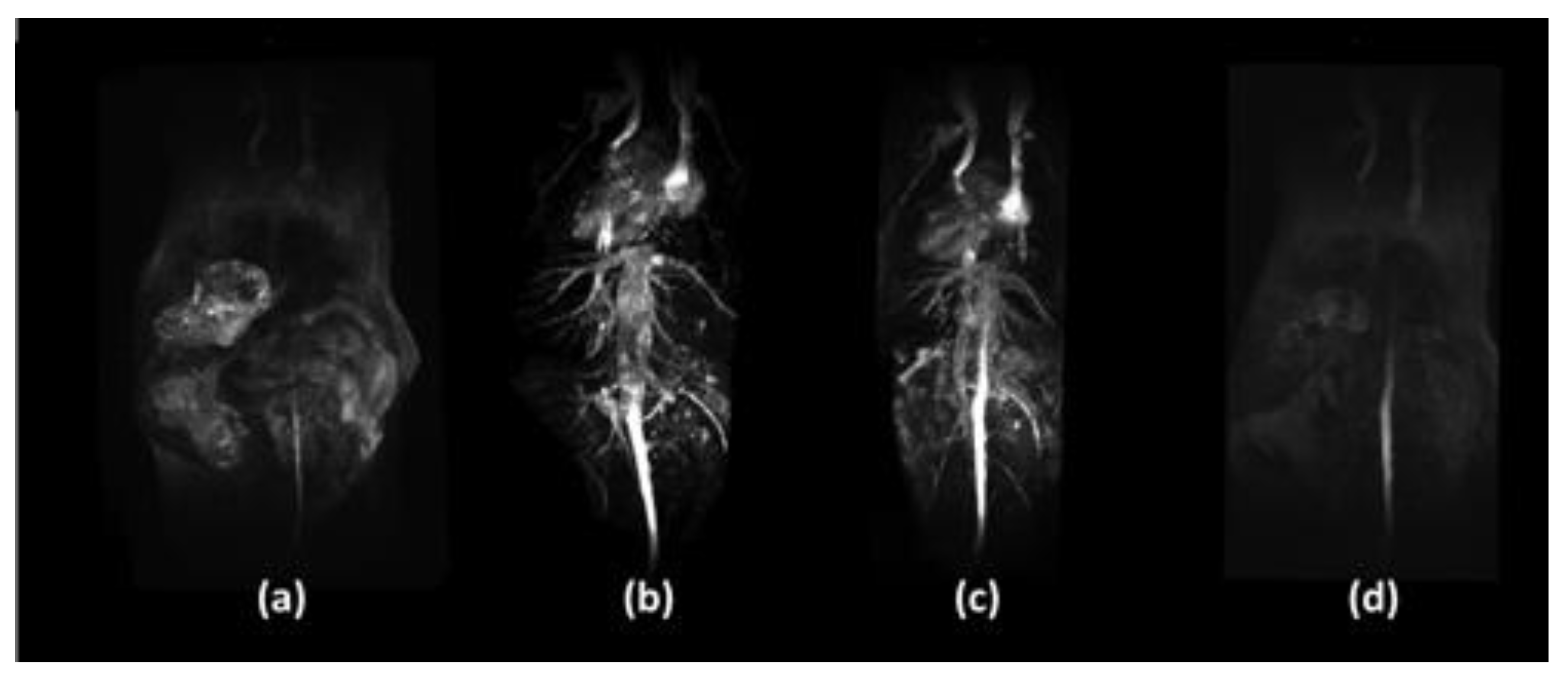 Inorganics 08 00028 g004 Inorganics 08 00028 g004