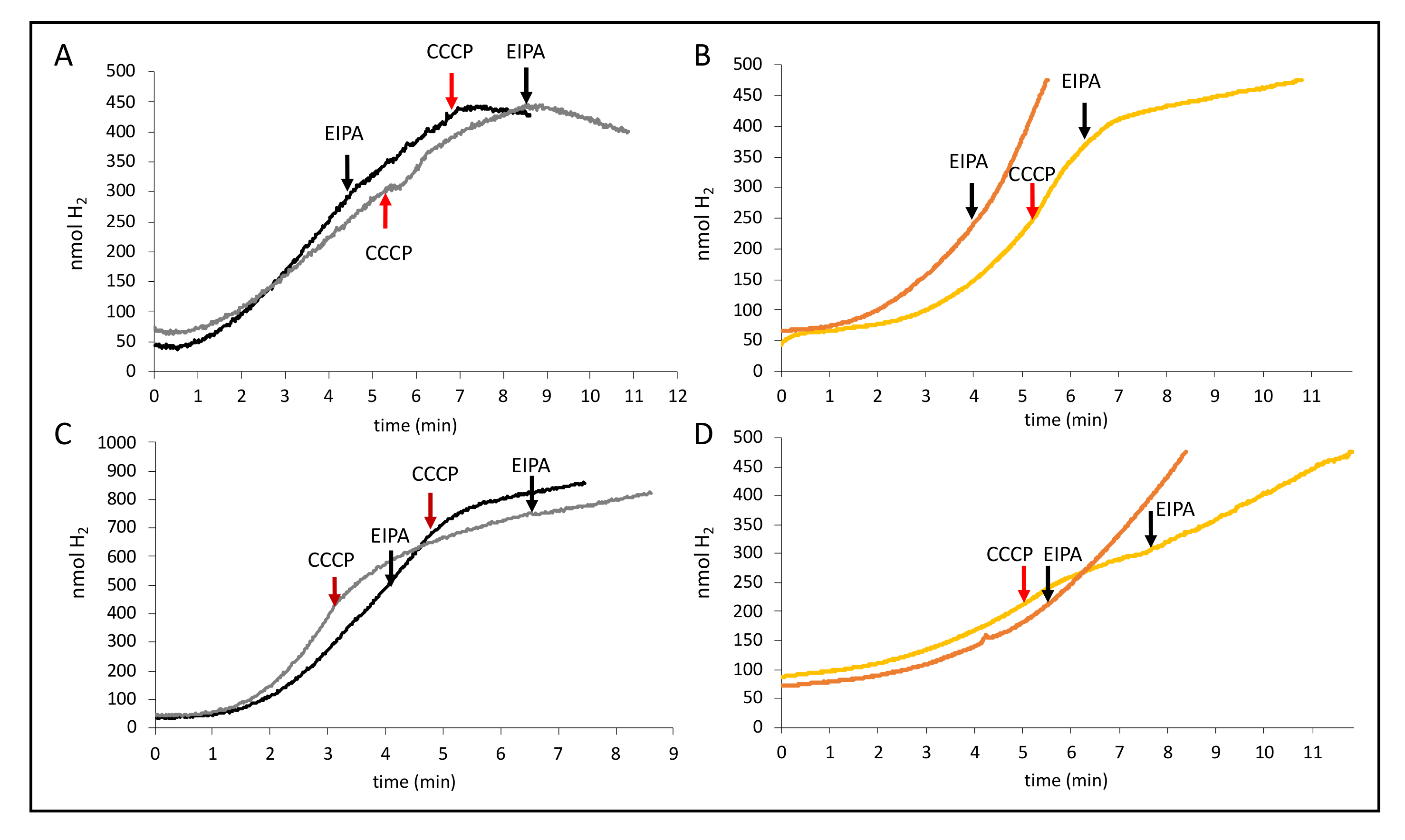 Inorganics 08 00038 g007