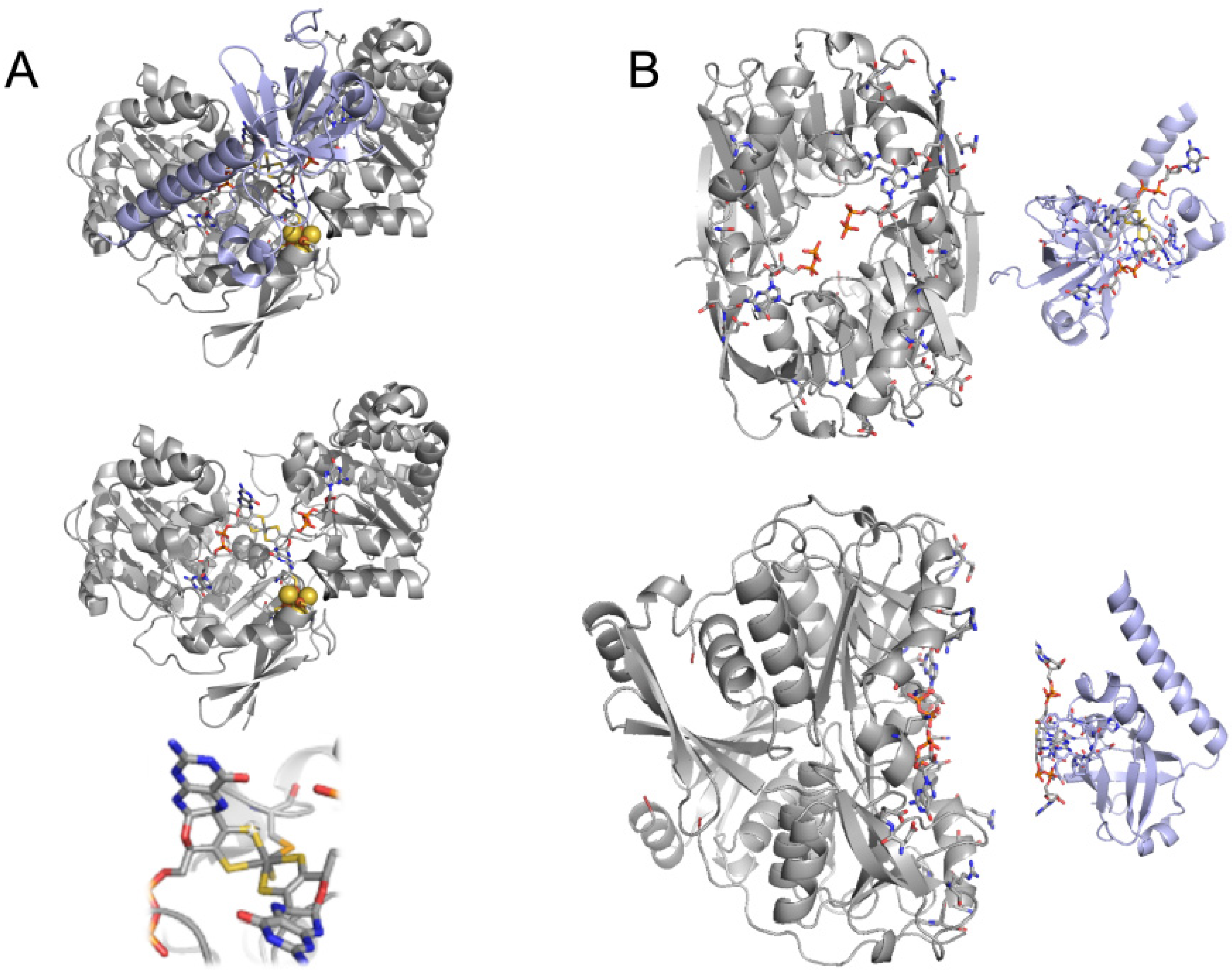 Inorganics 08 00041 g002