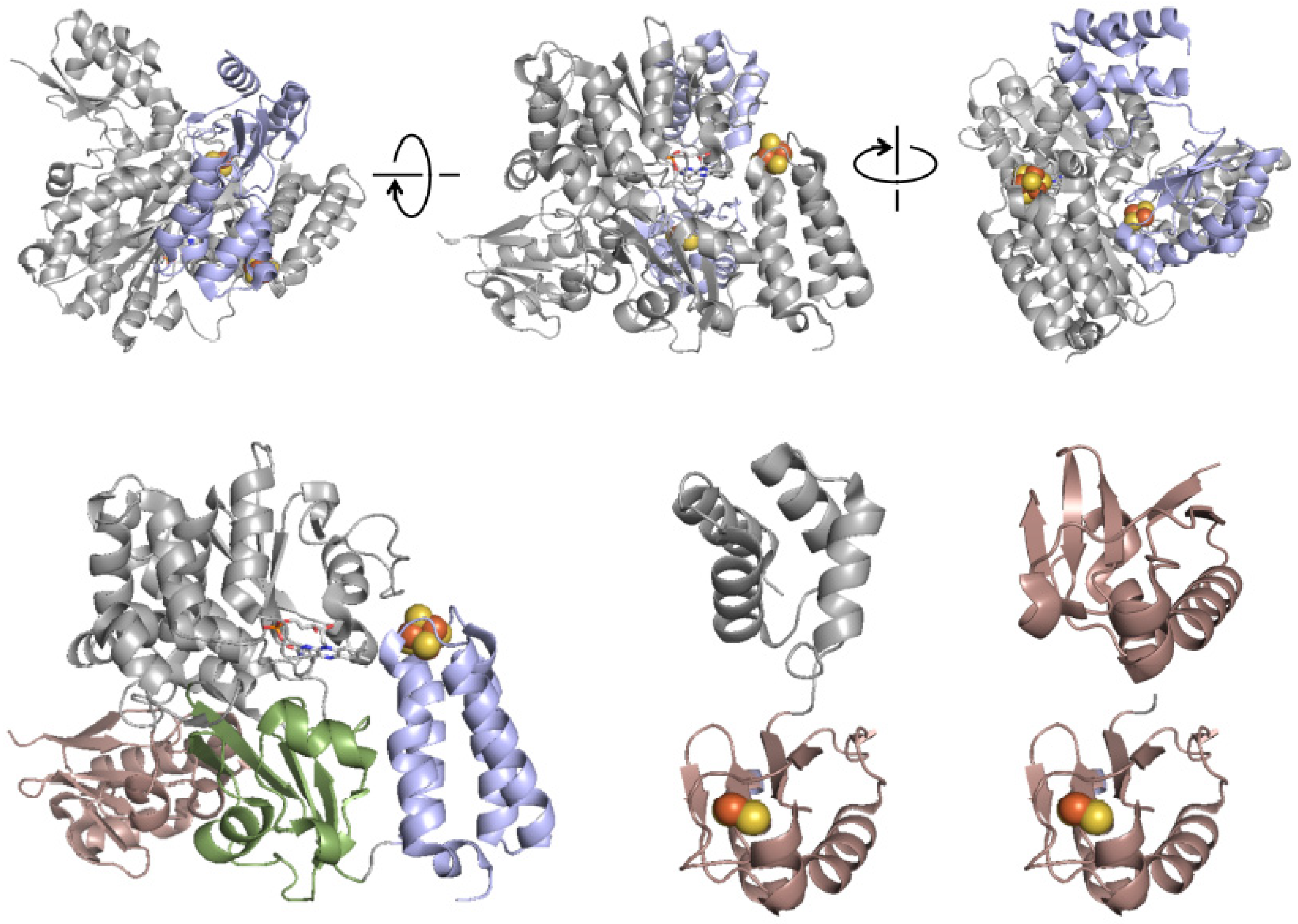 Inorganics 08 00041 g003