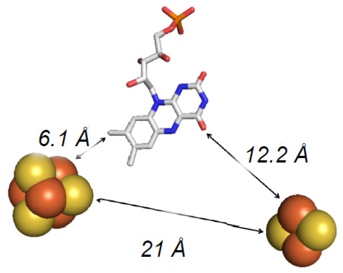 Inorganics 08 00041 g004