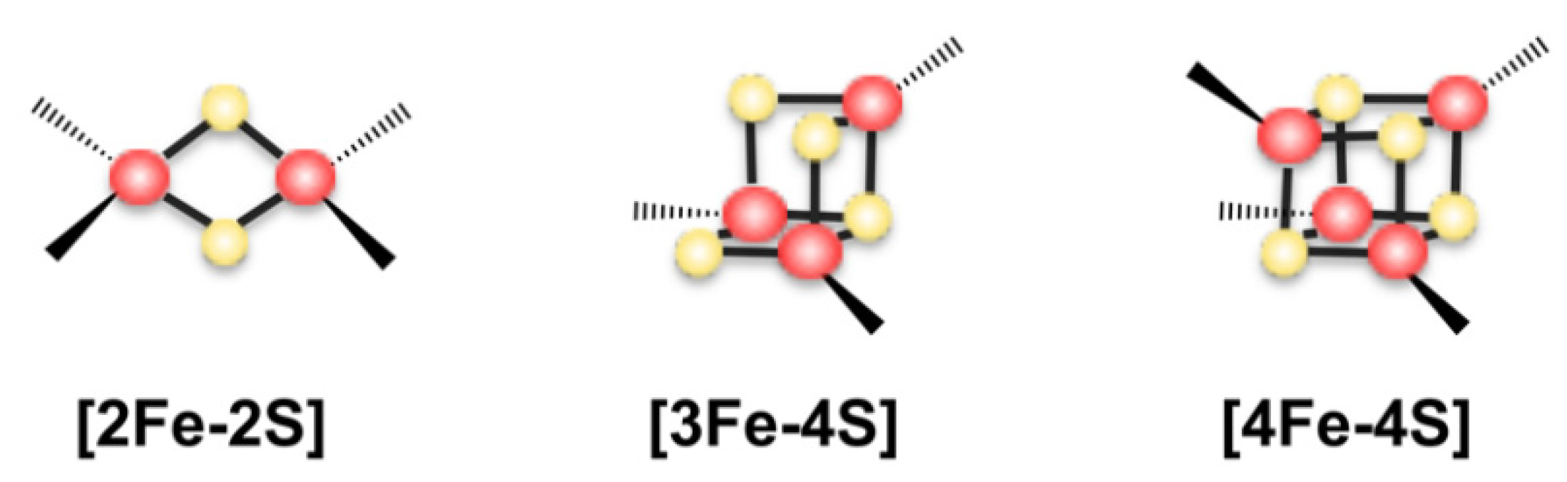 Inorganics 08 00043 g001