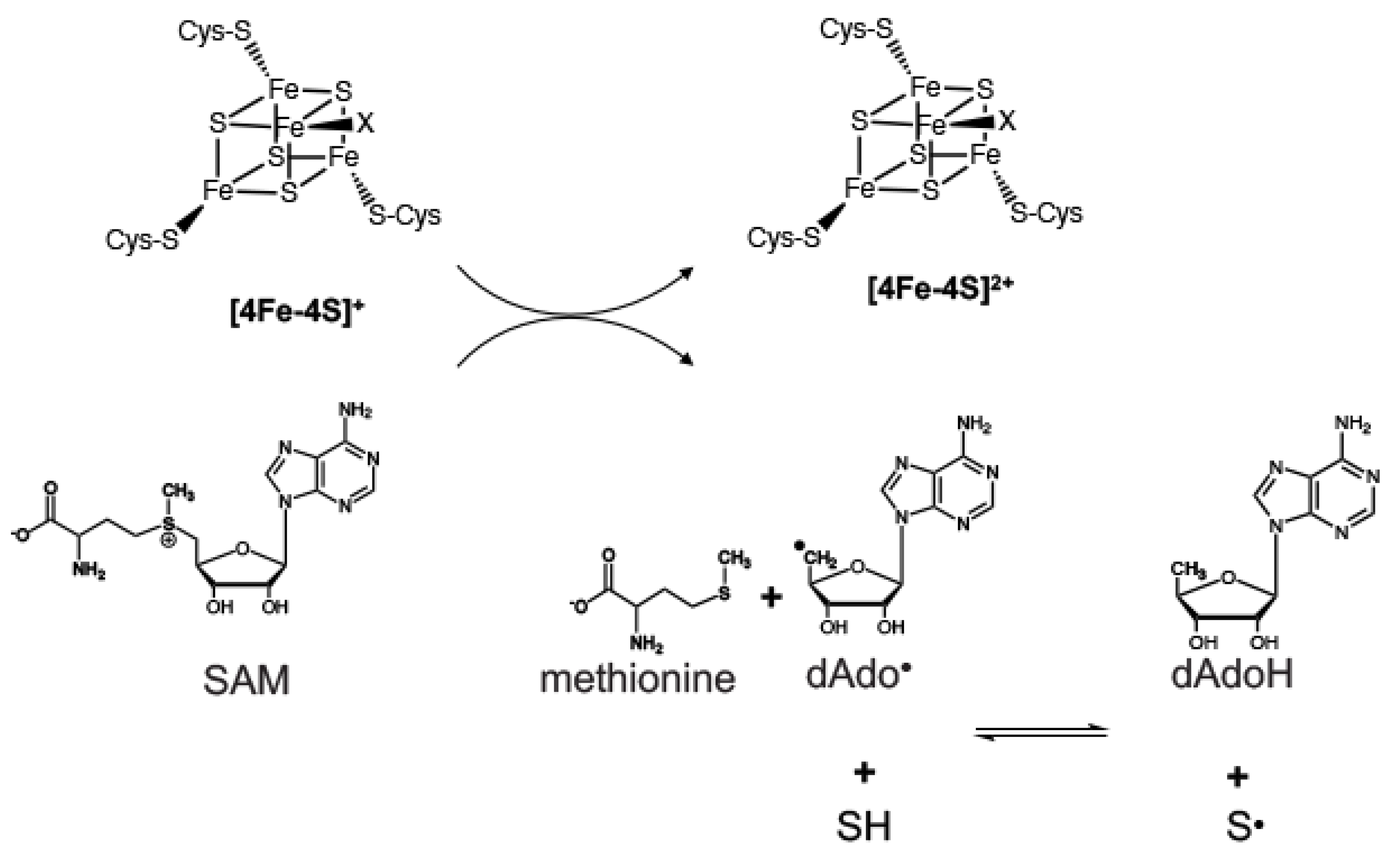 Inorganics 08 00043 g006