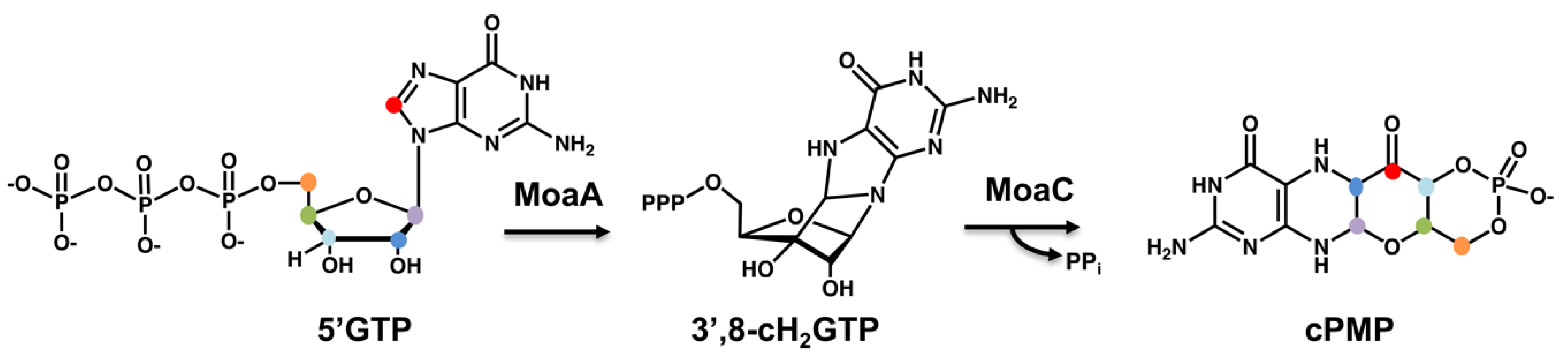 Inorganics 08 00043 g007