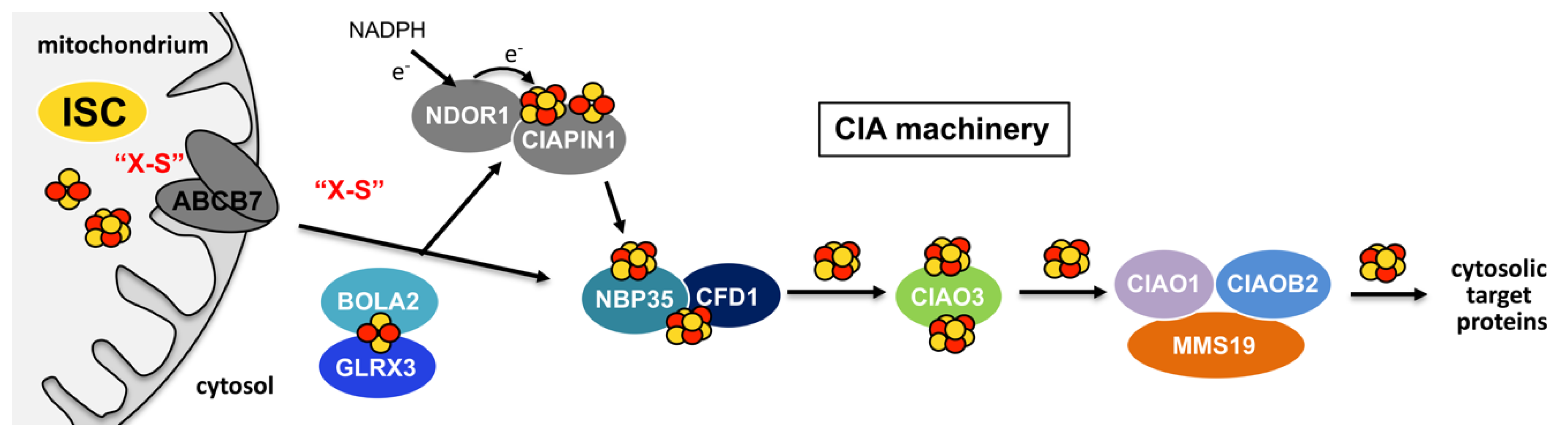 Inorganics 08 00043 g009