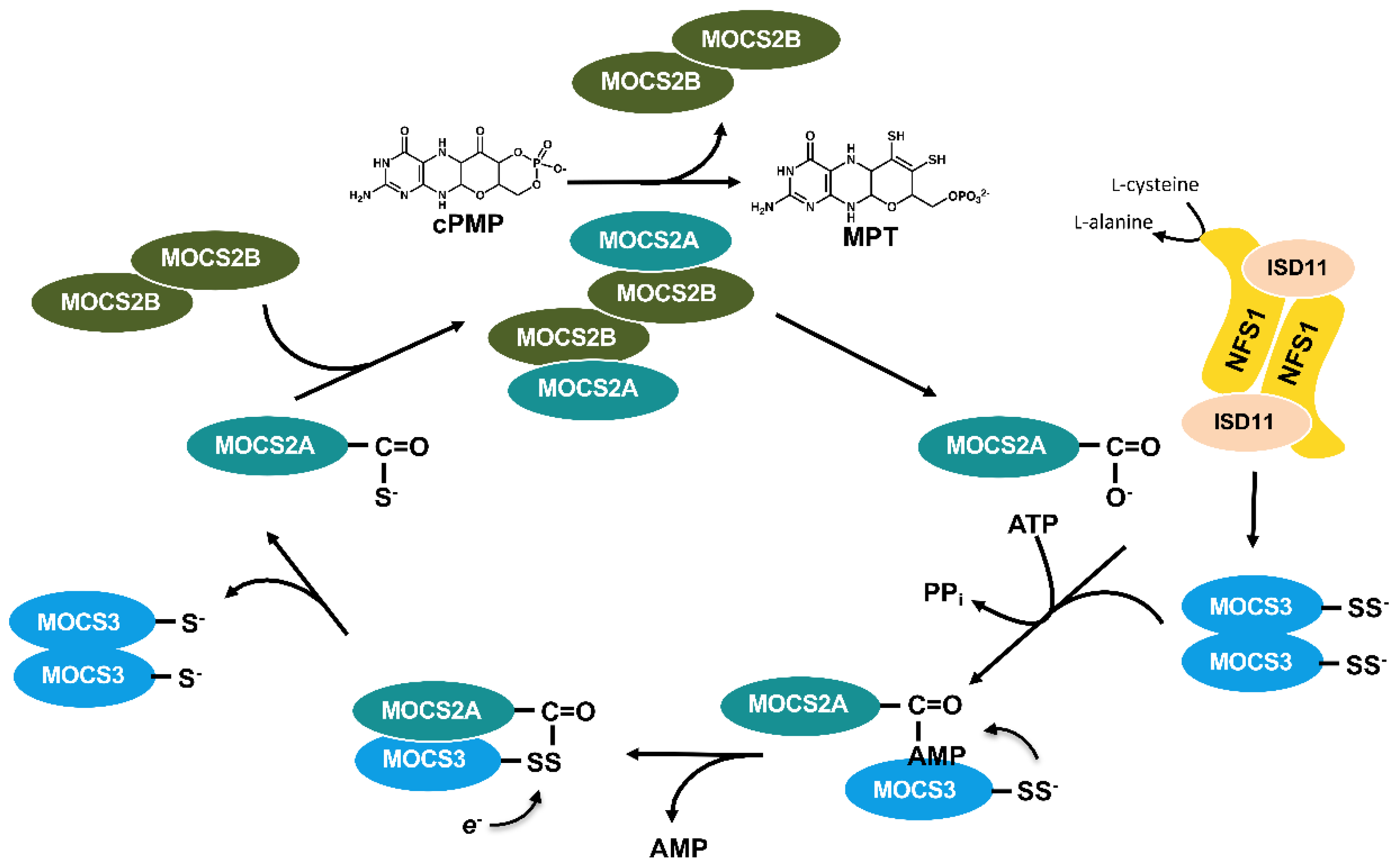 Inorganics 08 00043 g010