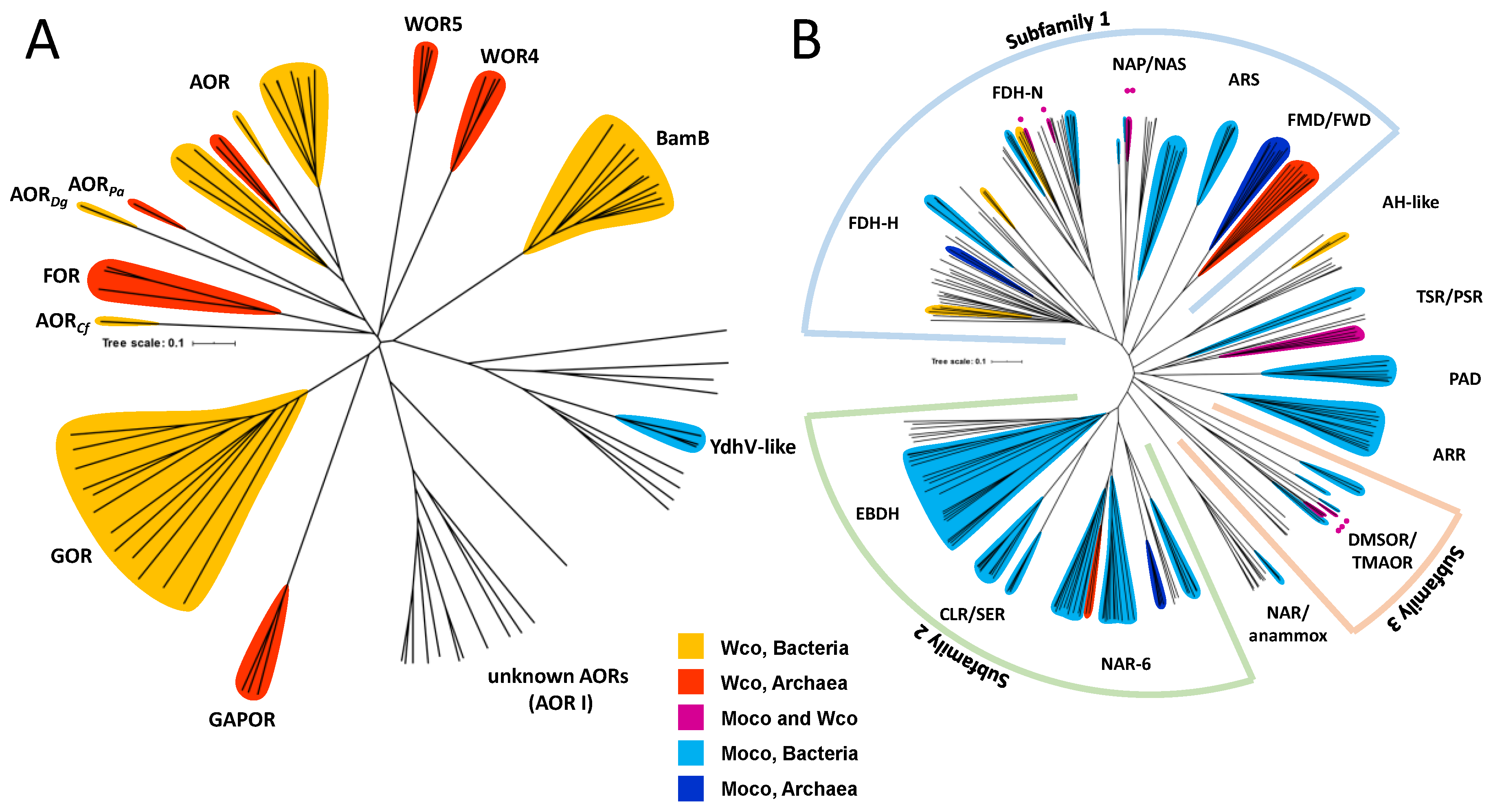 Inorganics 08 00044 g003