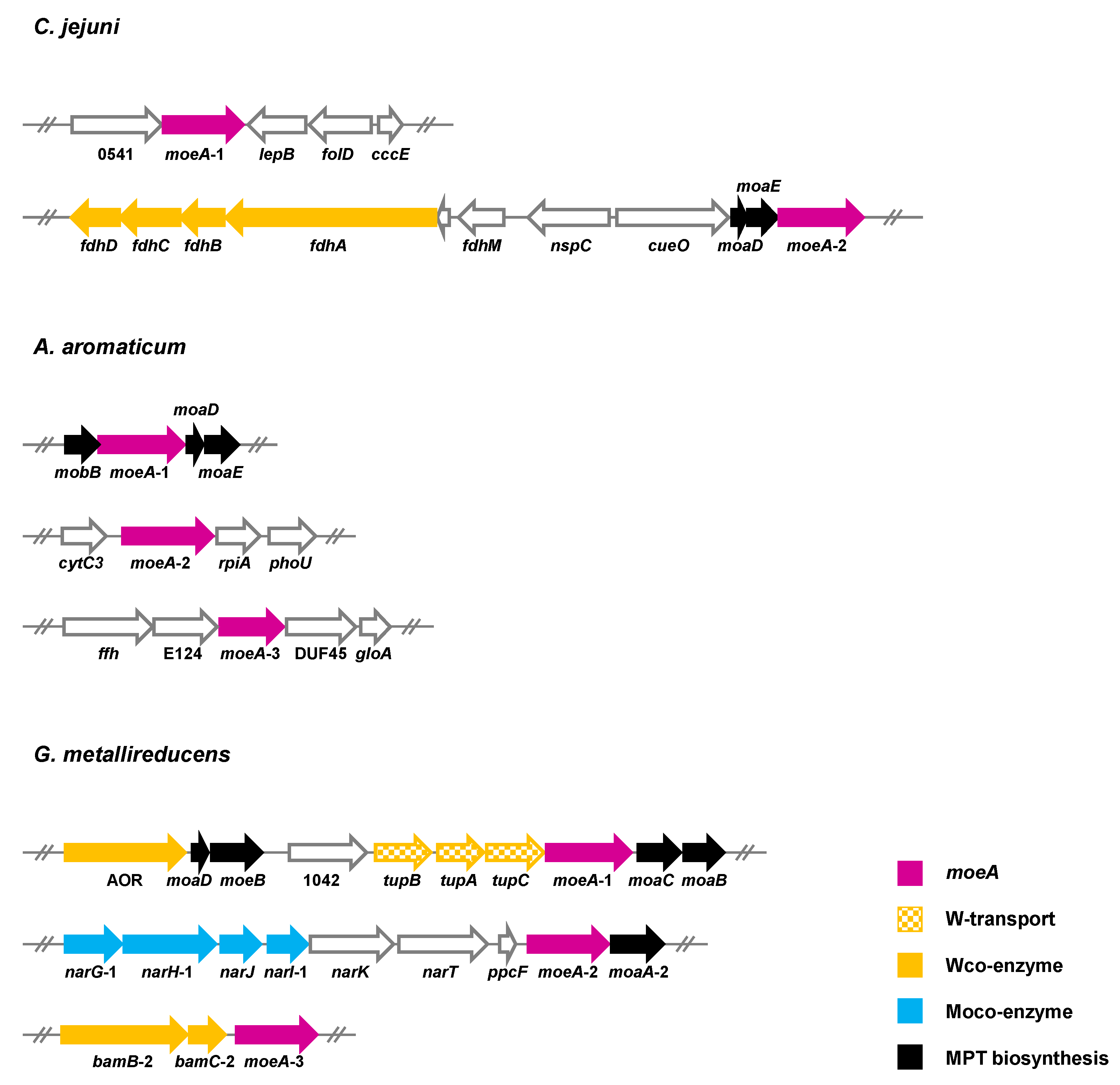 Inorganics 08 00044 g009