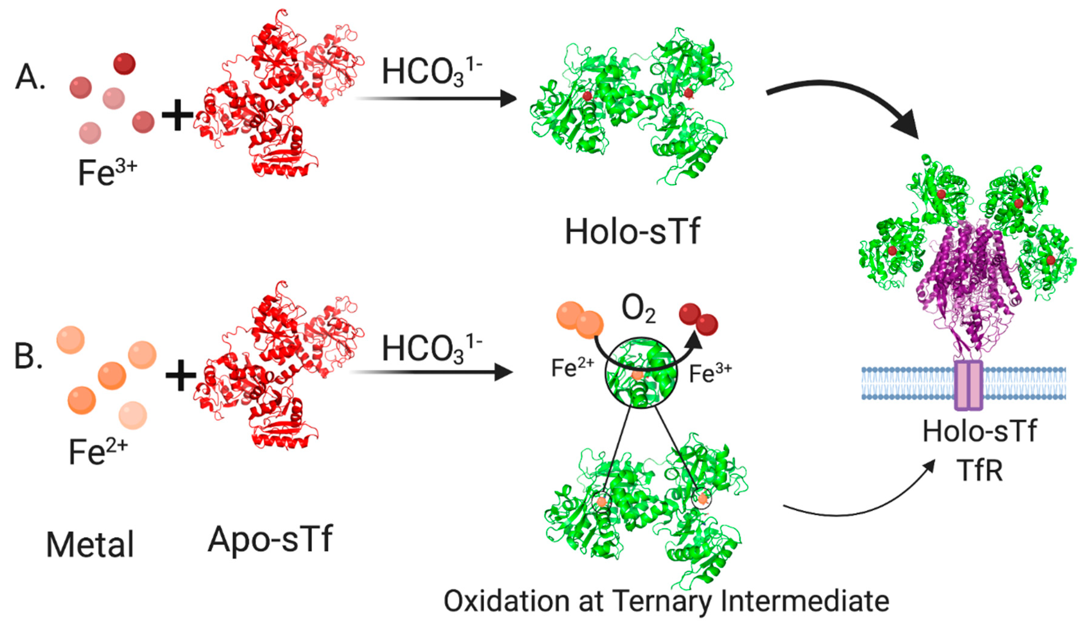 Inorganics 08 00048 g002 Inorganics 08 00048 g002