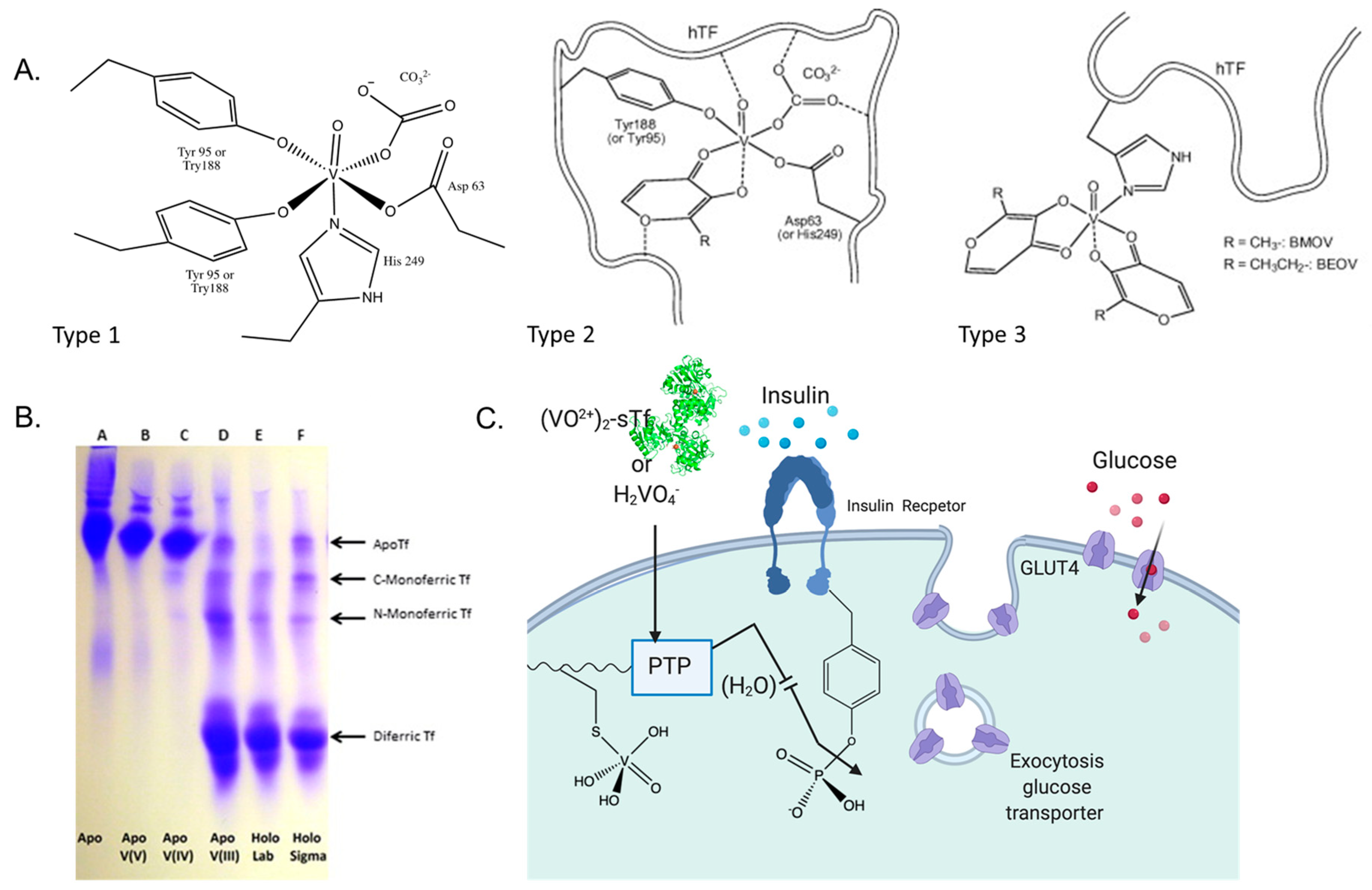 Inorganics 08 00048 g015 Inorganics 08 00048 g015
