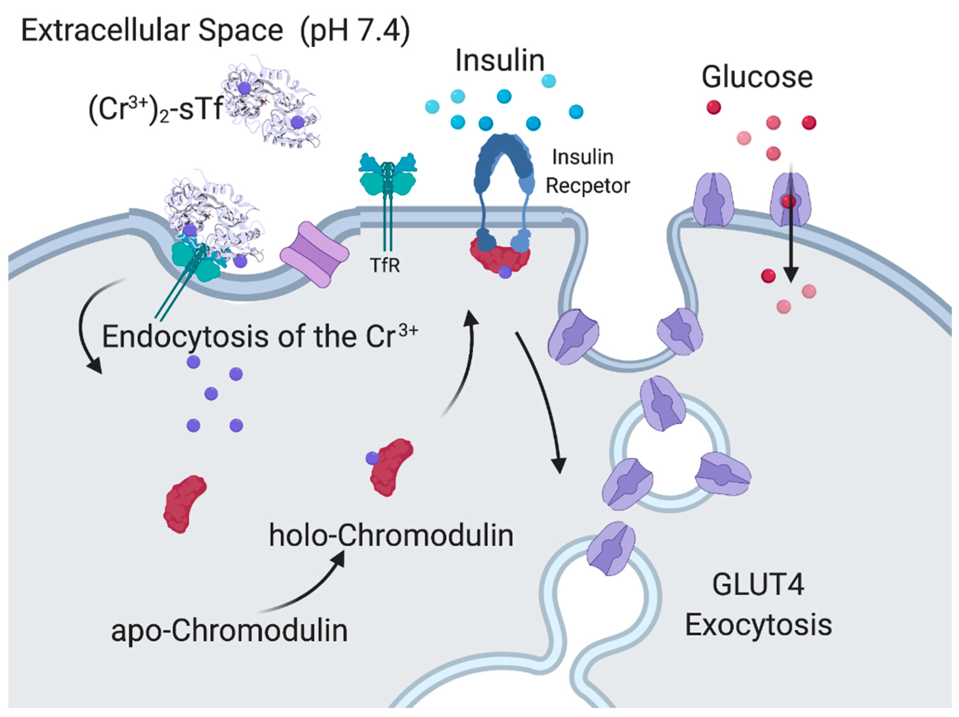 Inorganics 08 00048 g016 Inorganics 08 00048 g016
