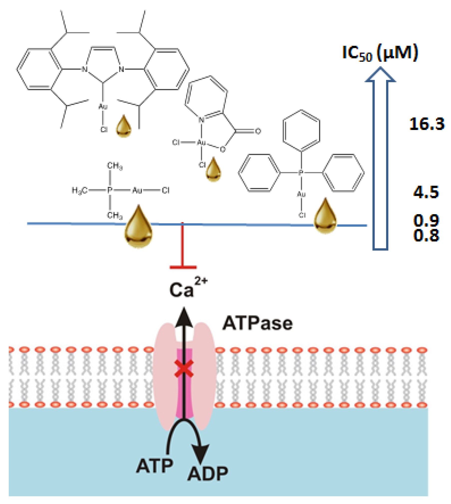 Inorganics | Free Full-Text | The Inhibition Potential of Gold(I, III) Compounds |
