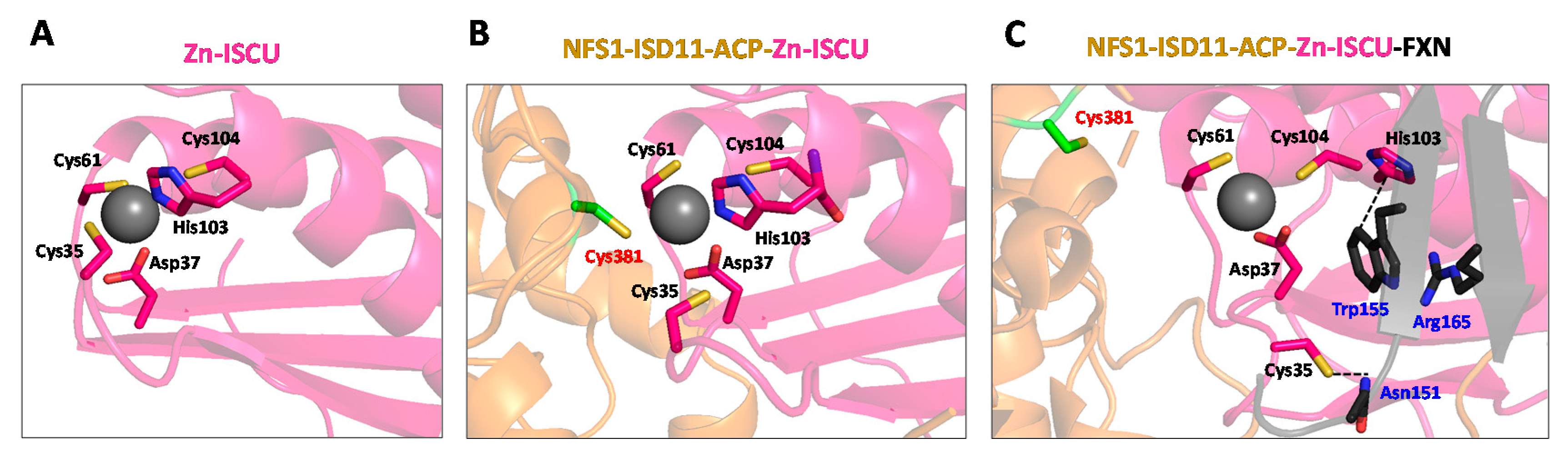 Inorganics 08 00055 g002