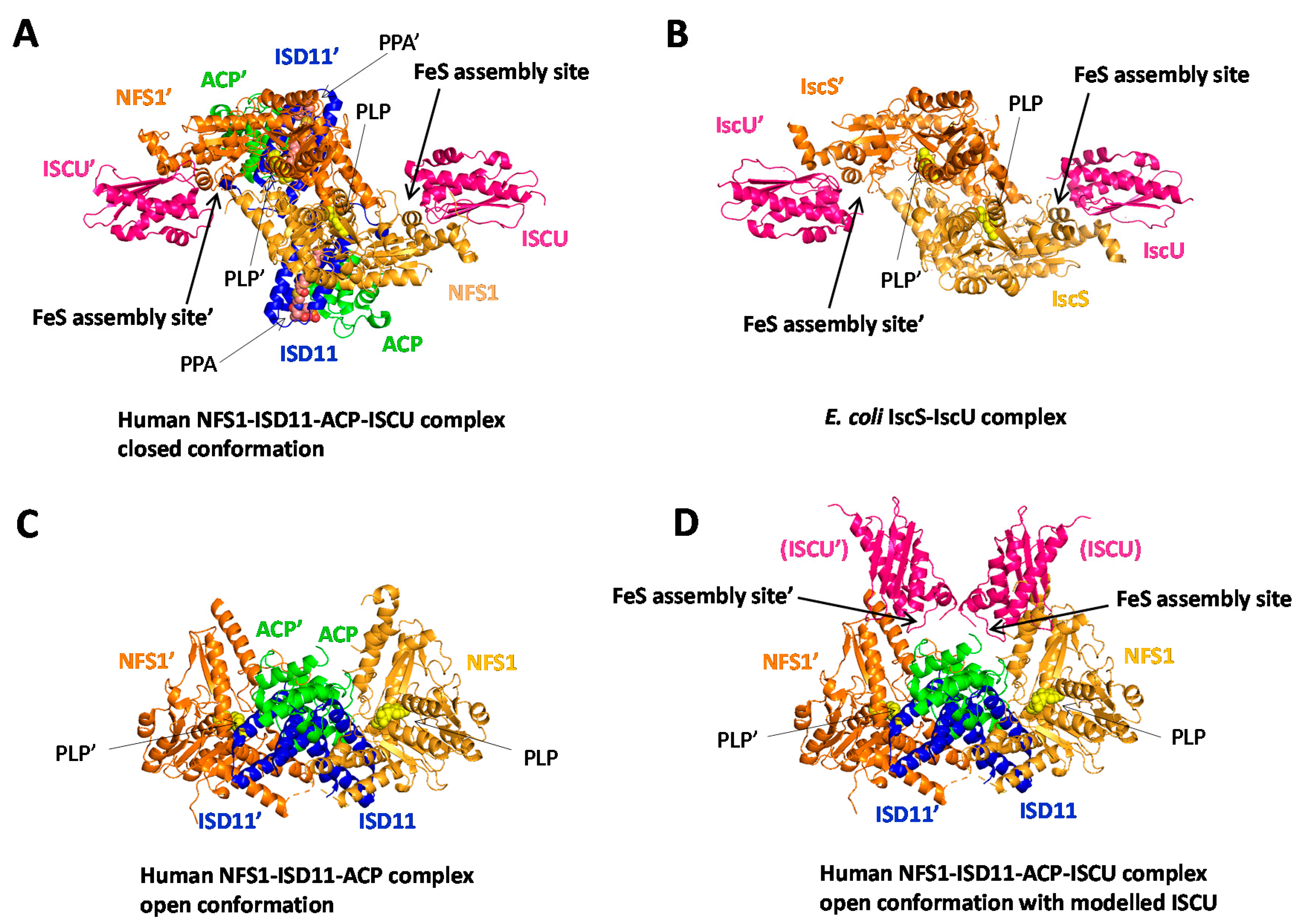 Inorganics 08 00055 g003