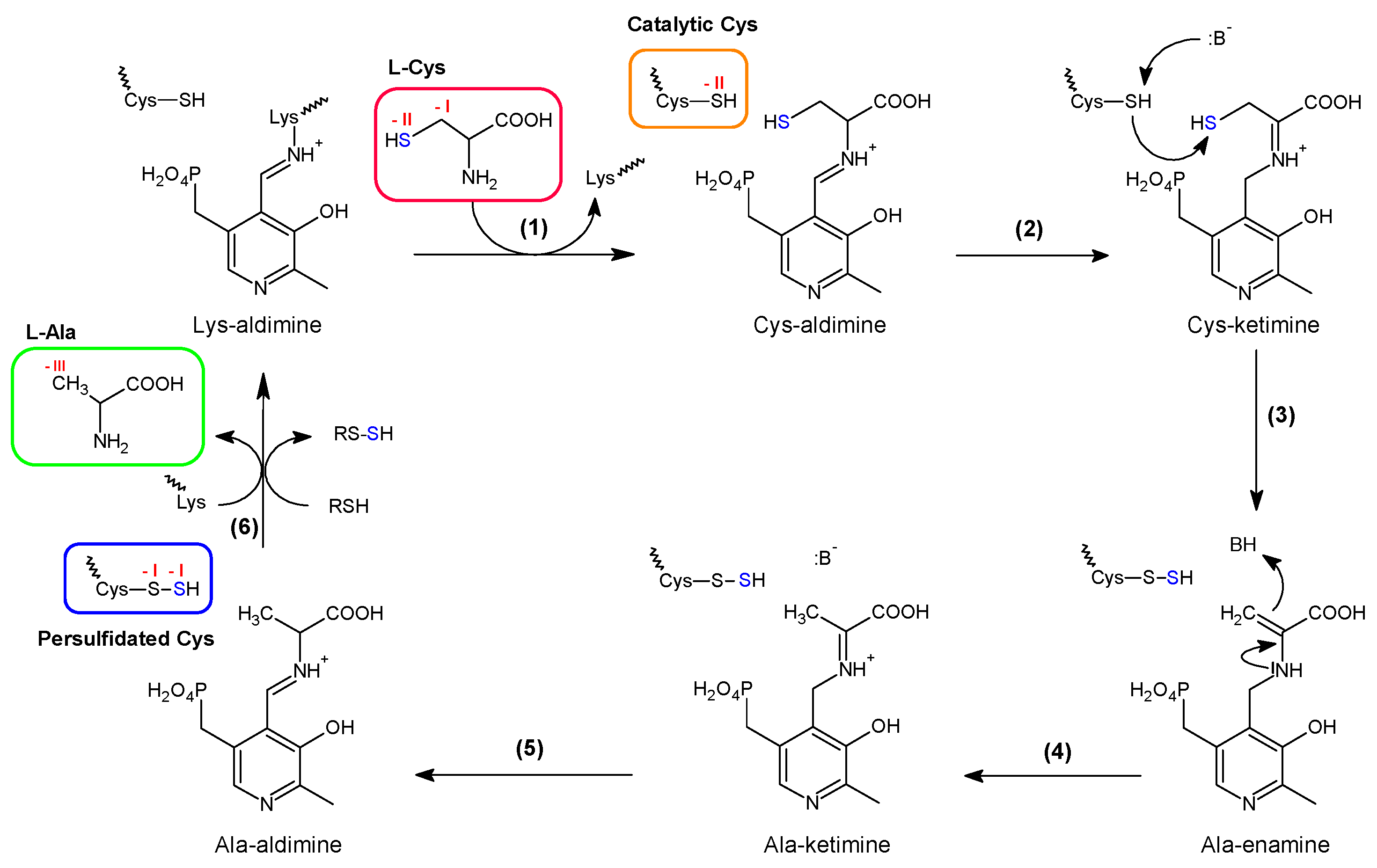 Inorganics 08 00055 g004