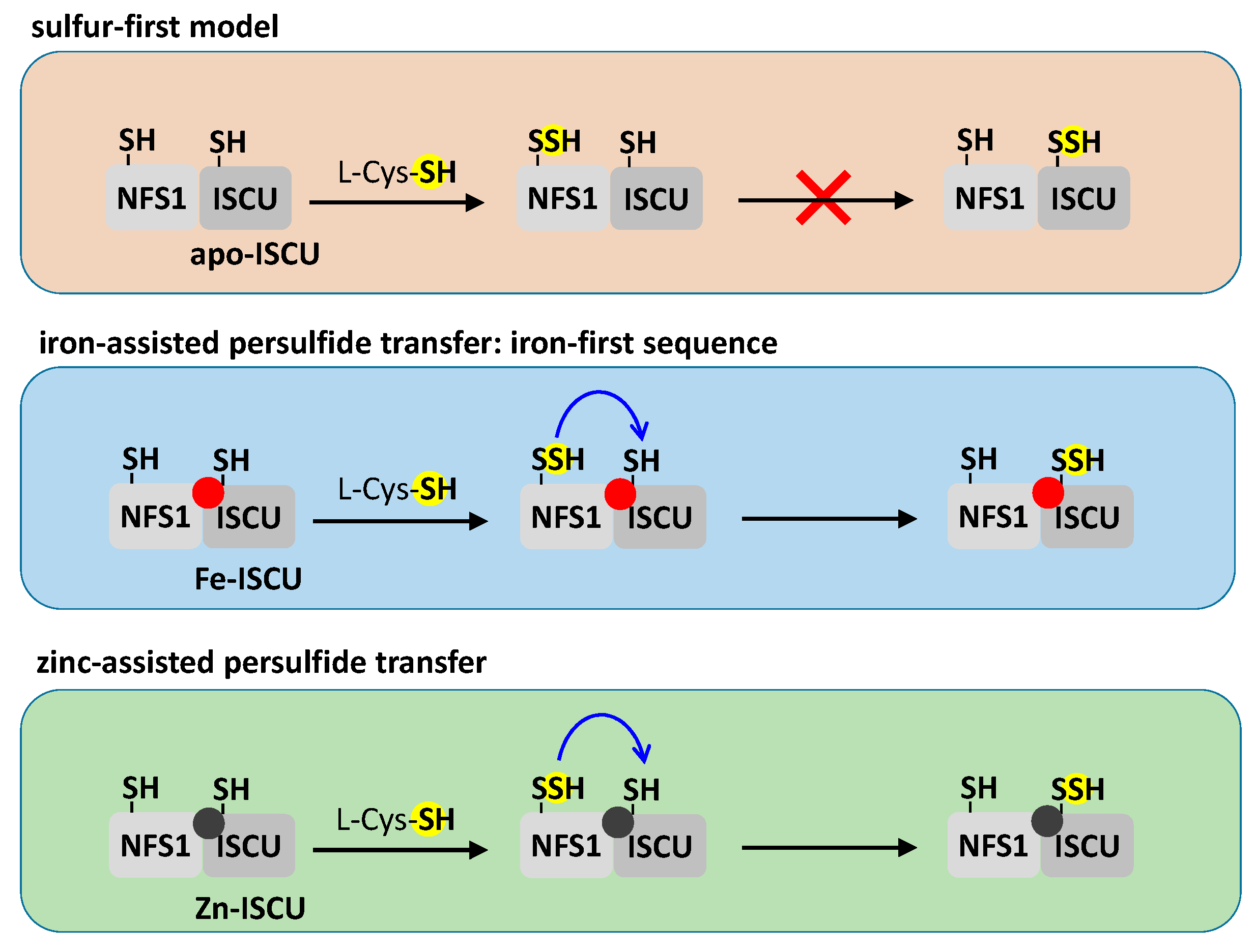 Inorganics 08 00055 g005