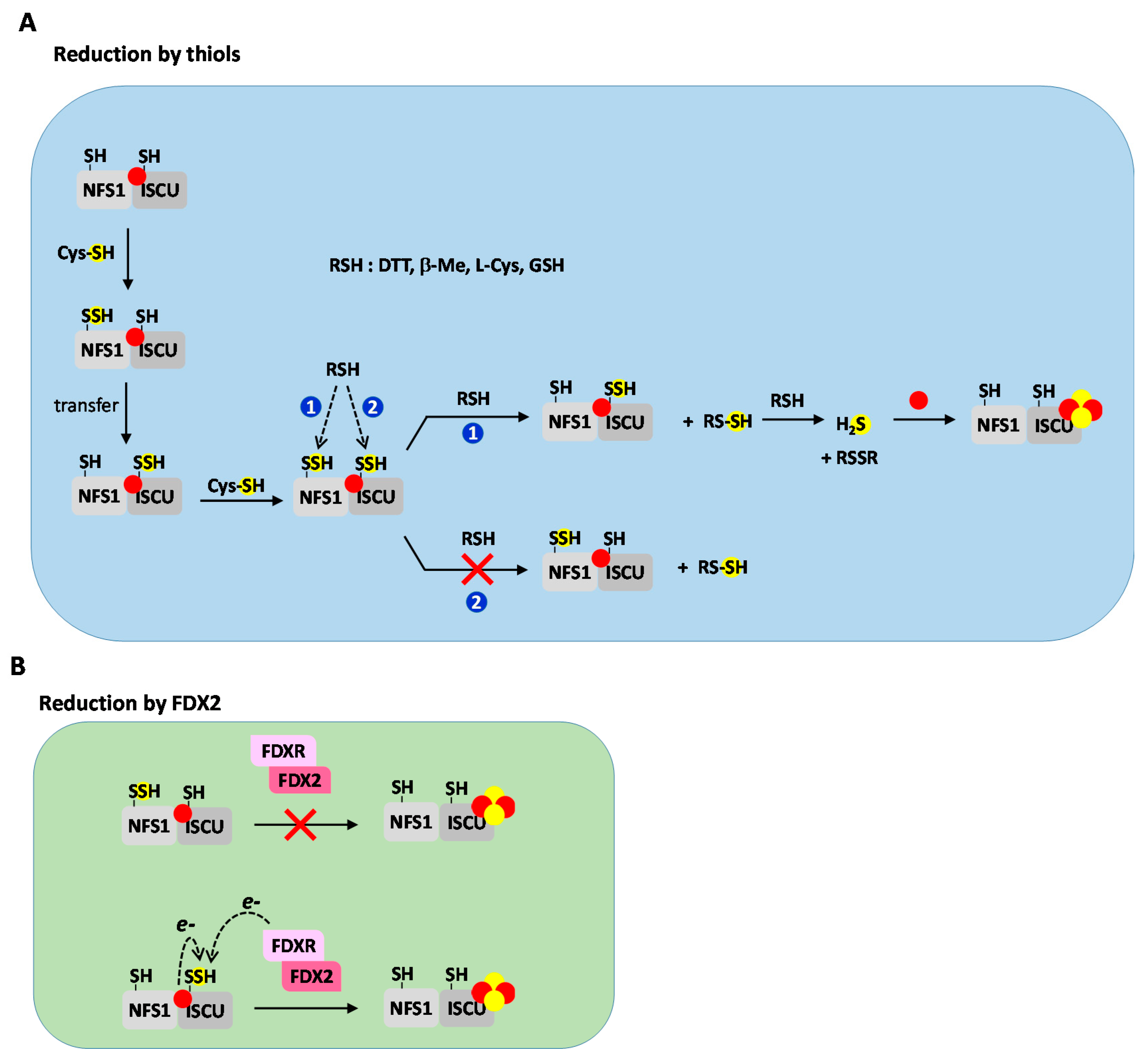 Inorganics 08 00055 g006