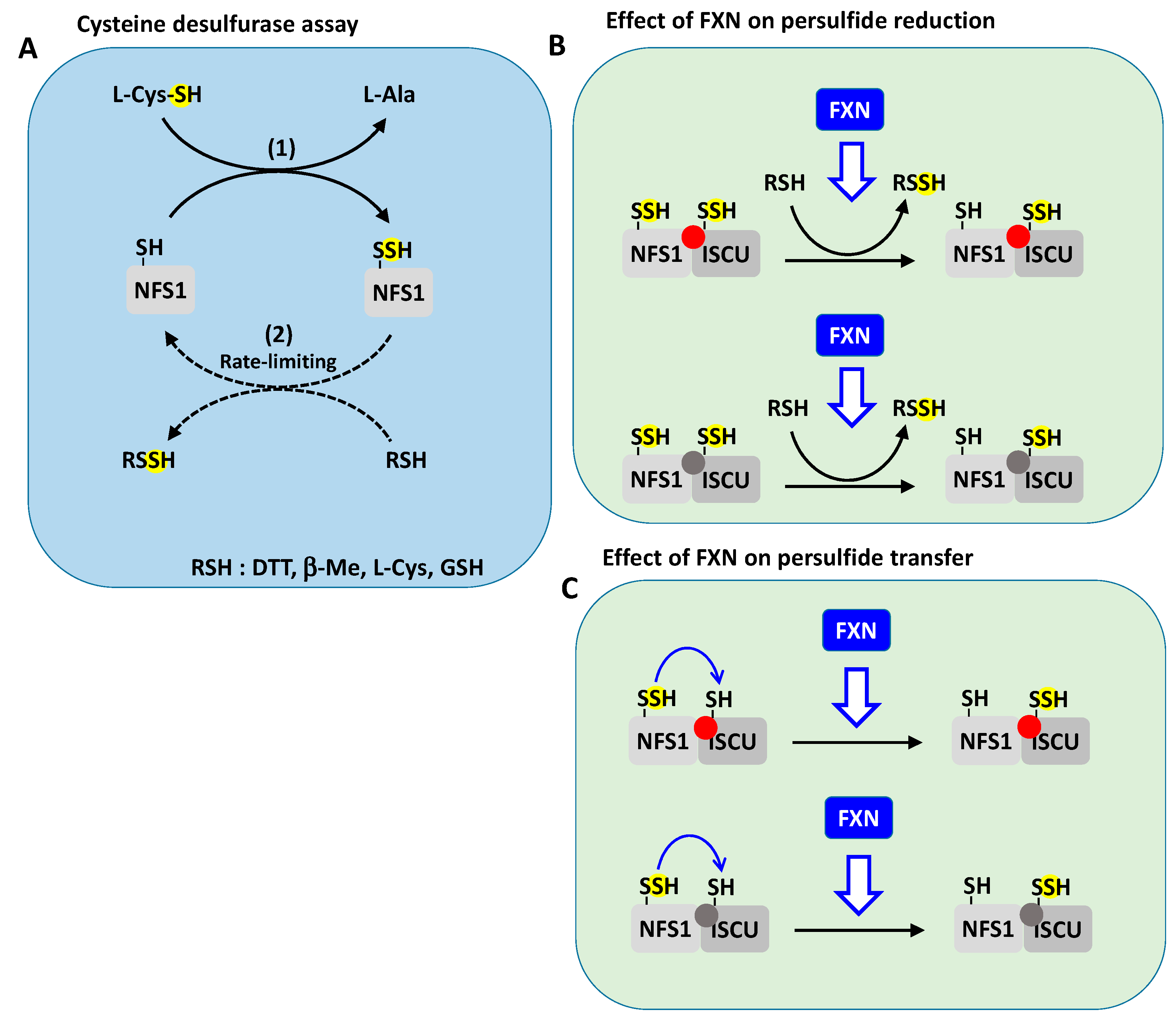 Inorganics 08 00055 g008