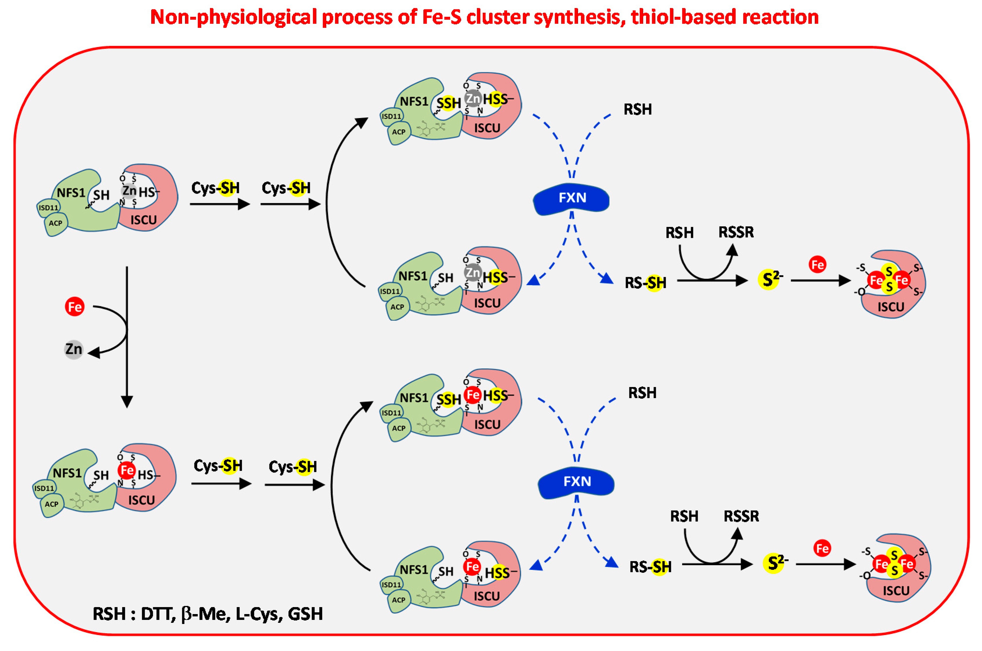 Inorganics 08 00055 g011