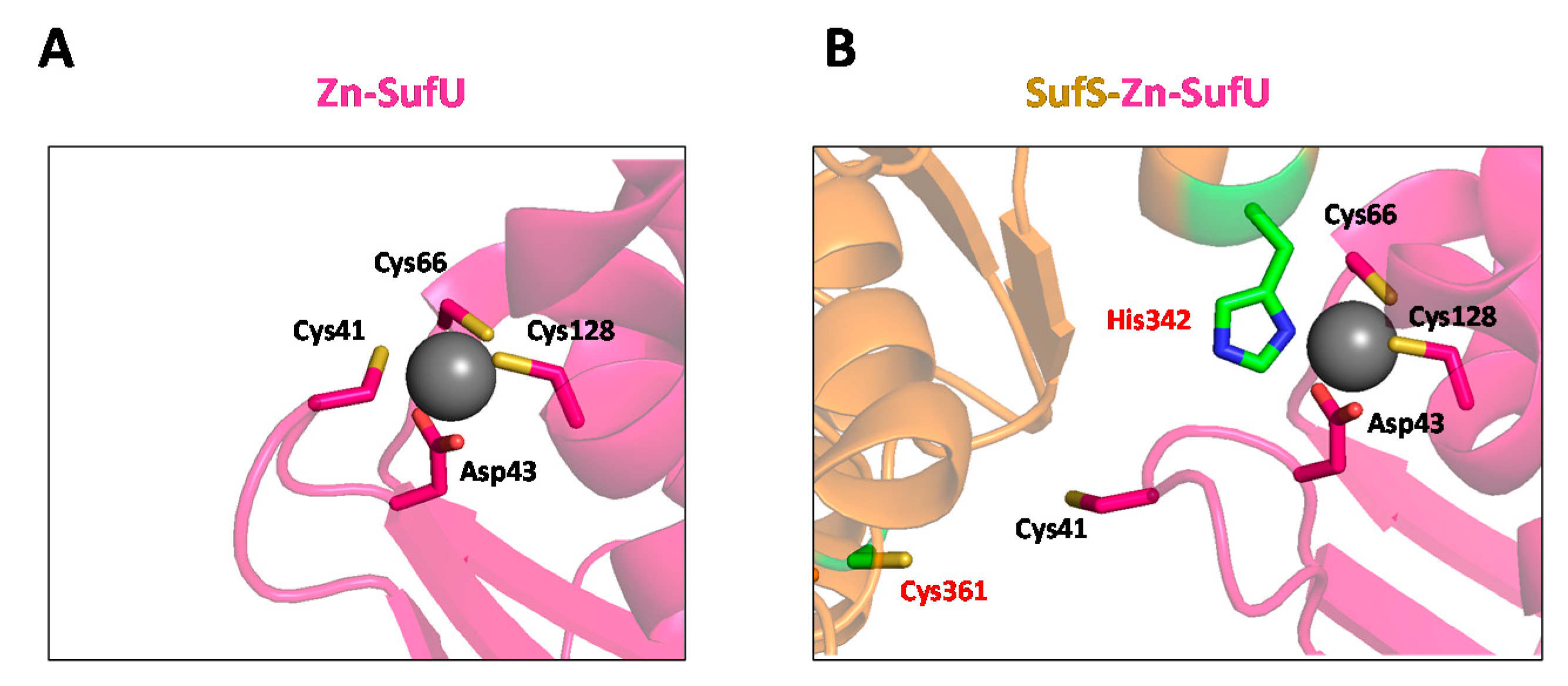Inorganics 08 00055 g012