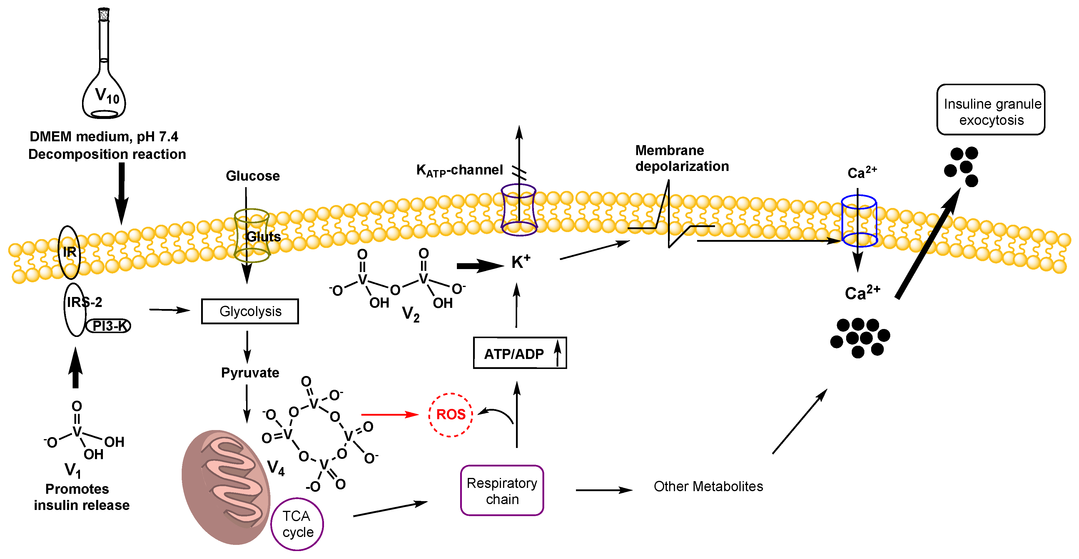 Inorganics 08 00067 g008 Inorganics 08 00067 g008