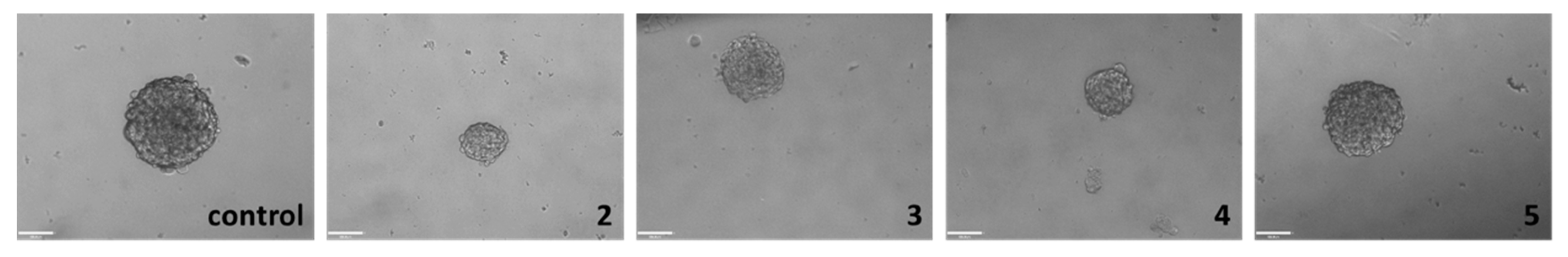 Inorganics 09 00005 g003