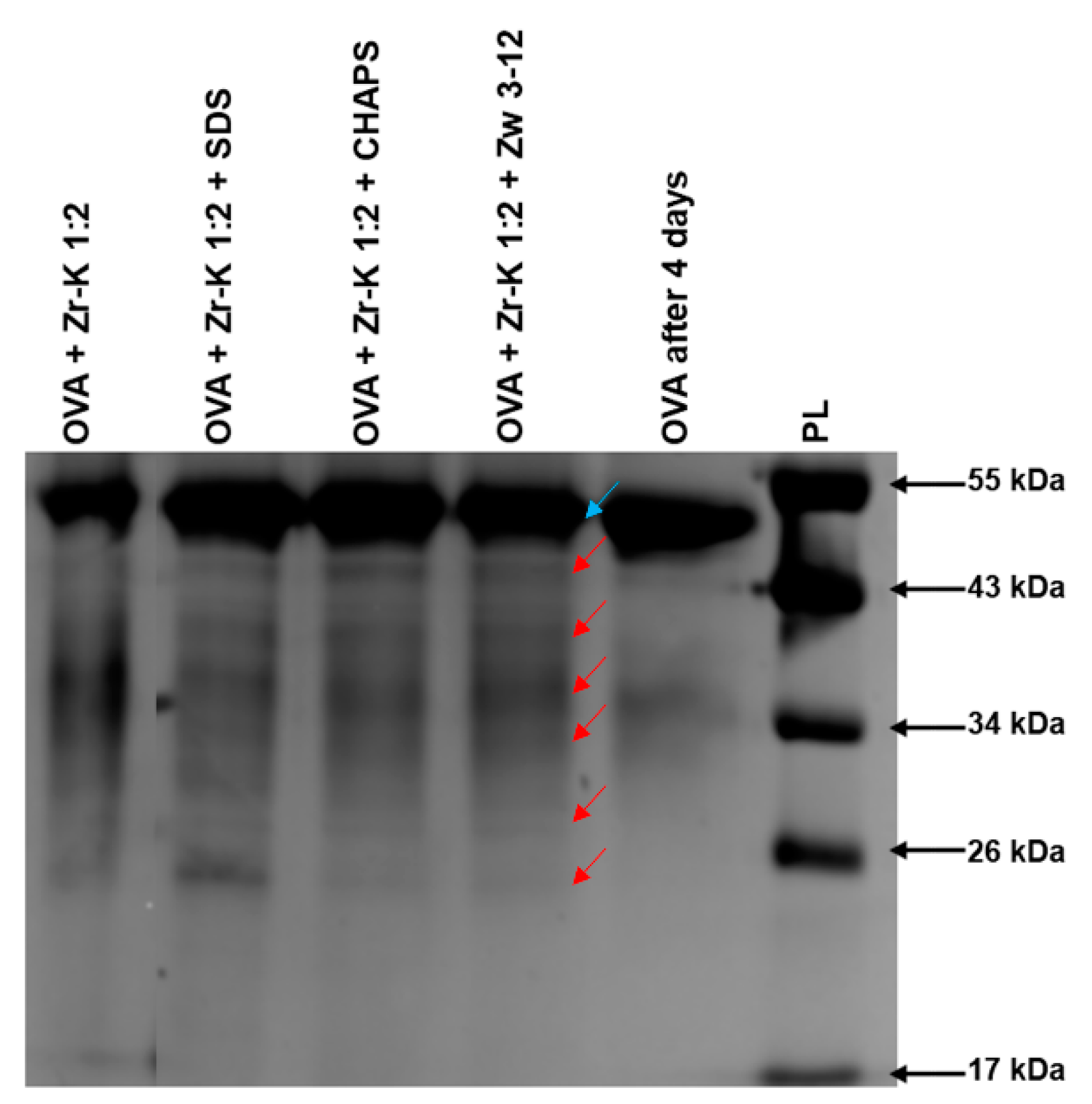 Inorganics 09 00022 g003 Inorganics 09 00022 g003