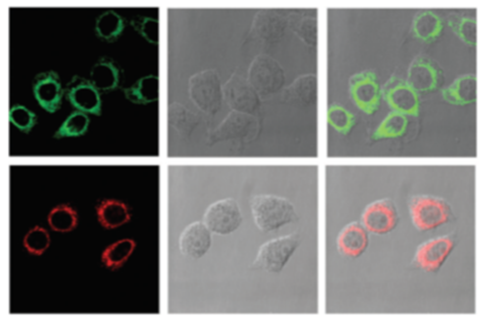 Inorganics 09 00032 g004